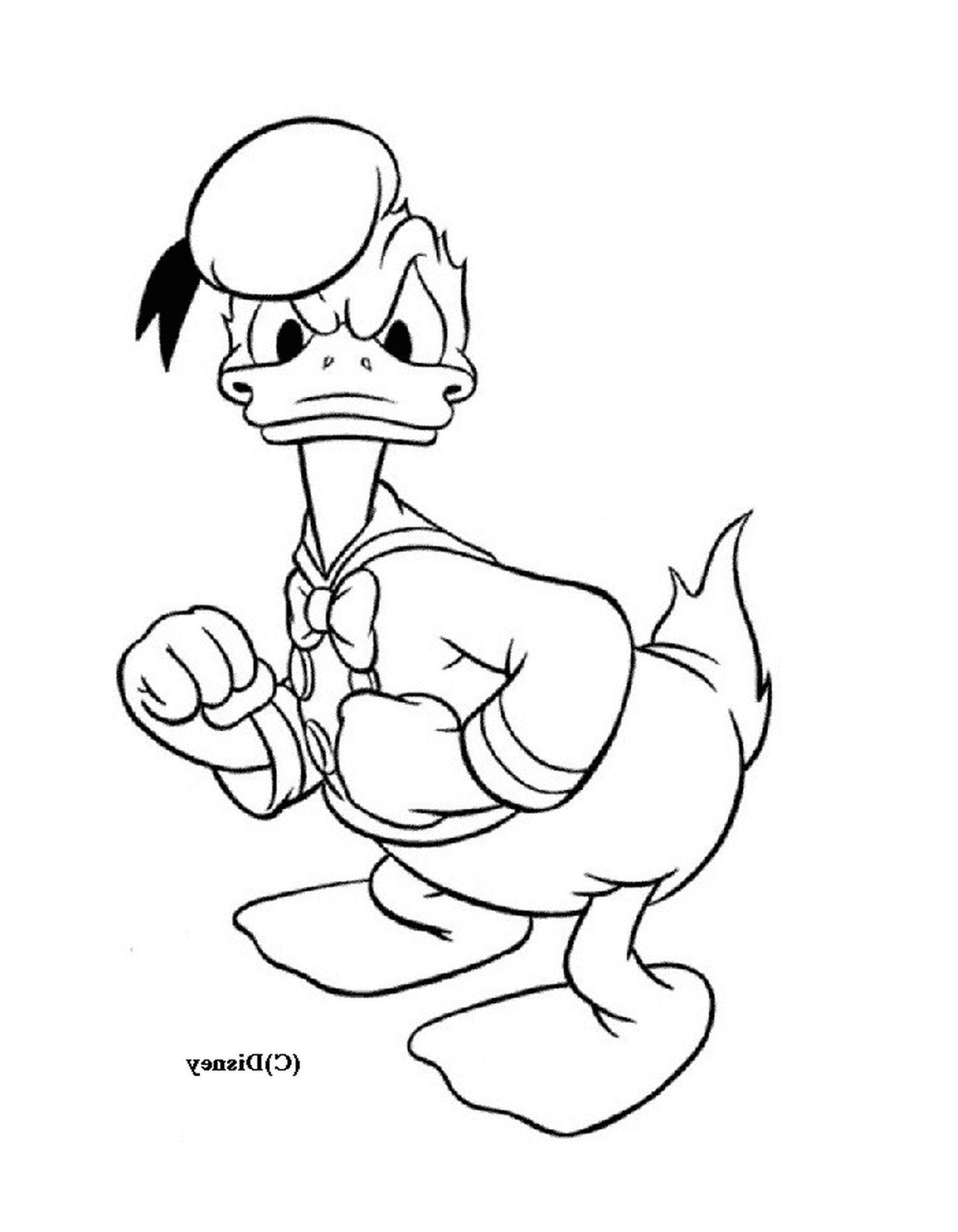   Donald Duck n'est pas content 