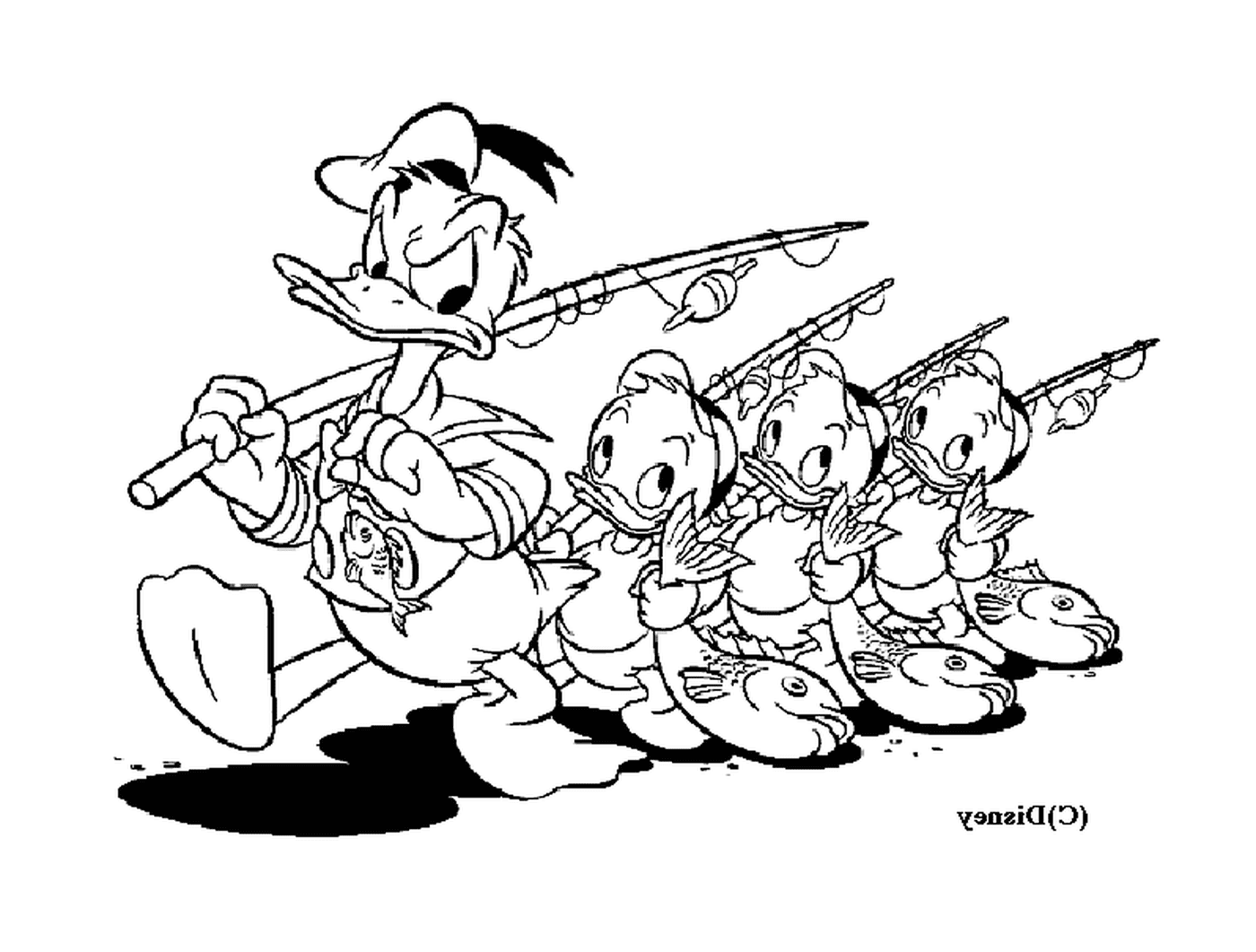   Donald et ses neveux pêchent avec joie 