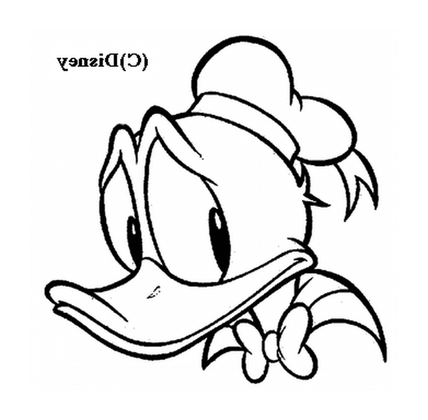   La tête expressive de Donald 