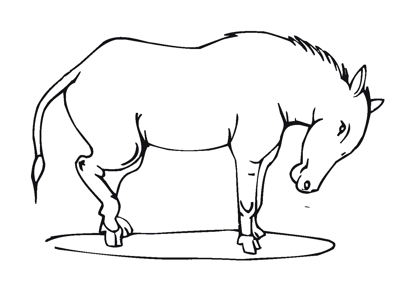  Un cheval debout avec la tête baissée