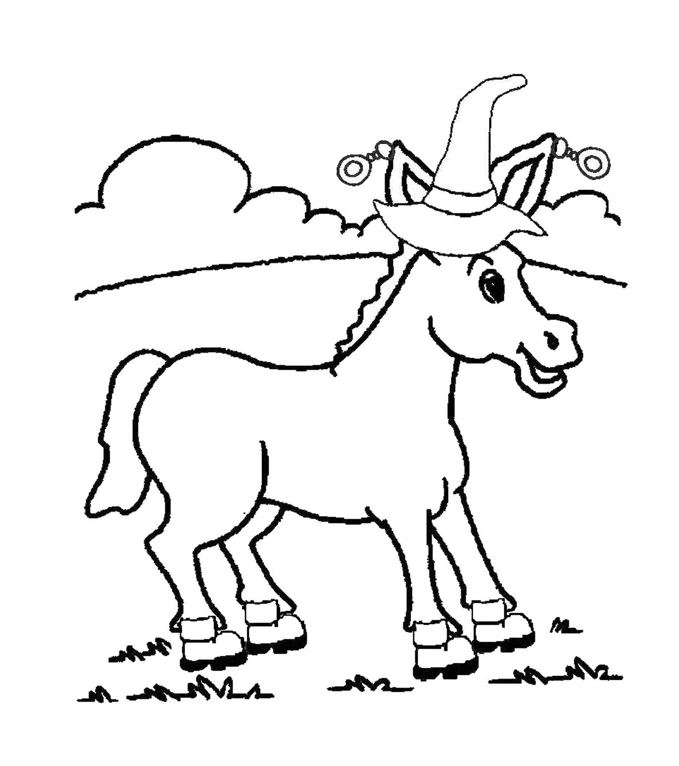   Un âne avec un chapeau 