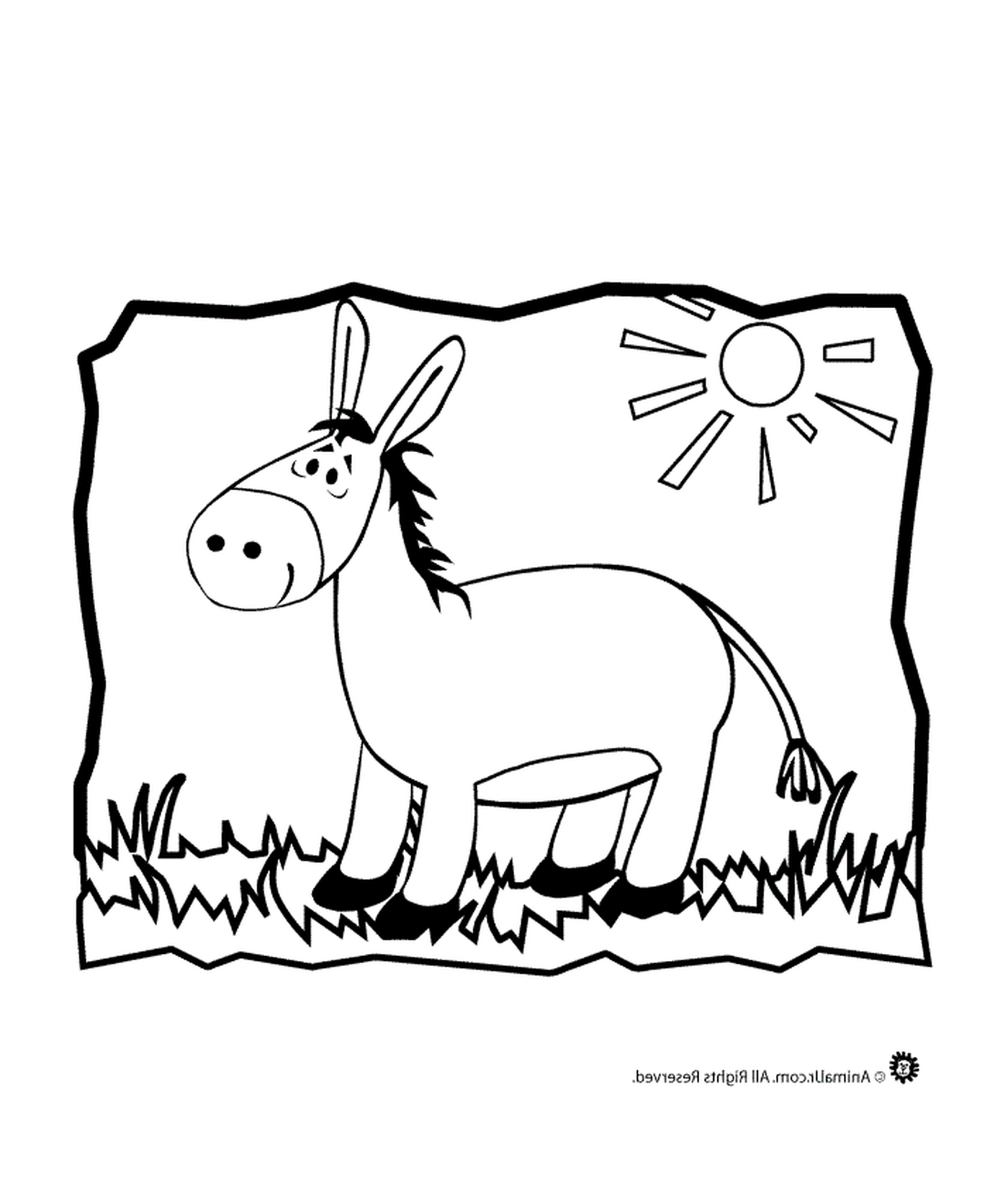   Un âne debout dans un champ 