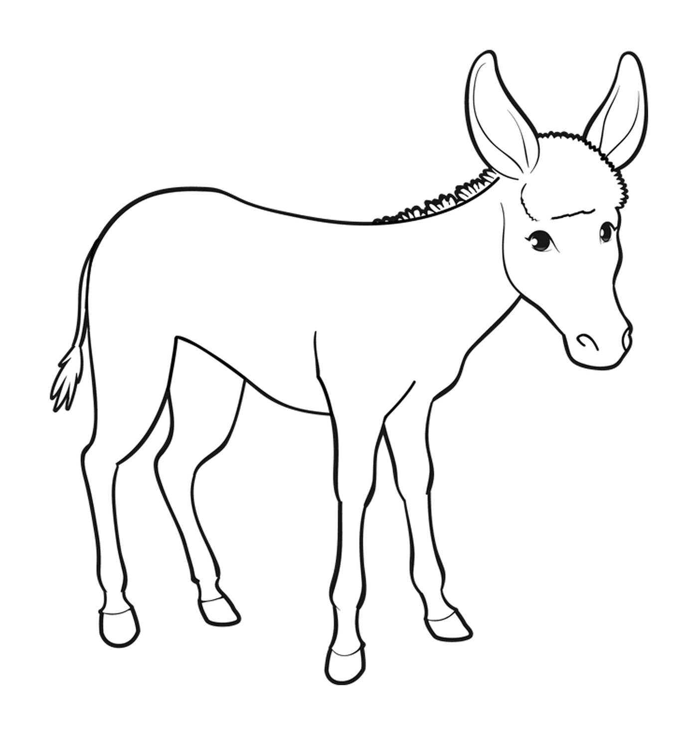   Un âne avec de longues oreilles 