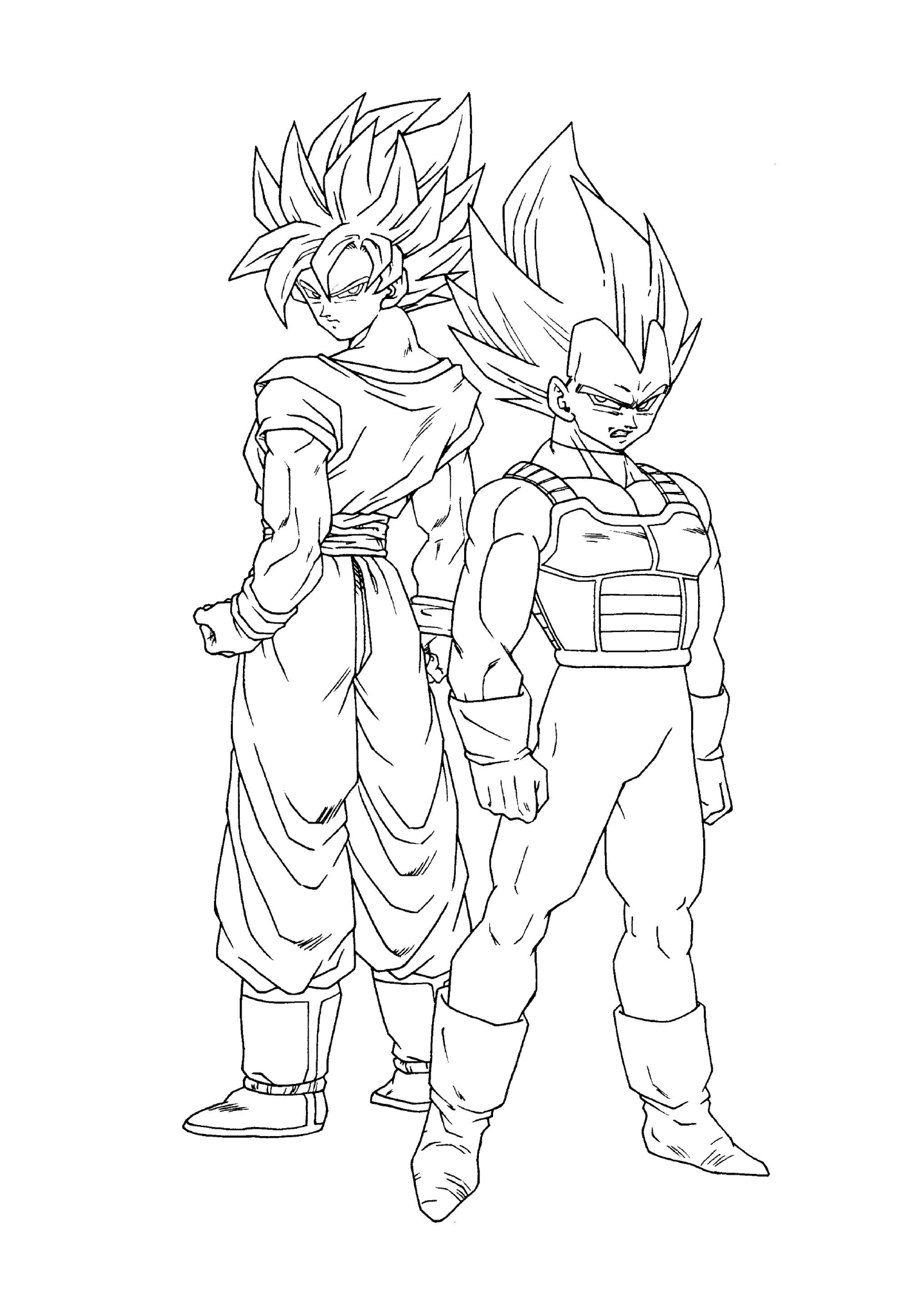   Goku et son frère Vegeta de Dragon Ball Z 