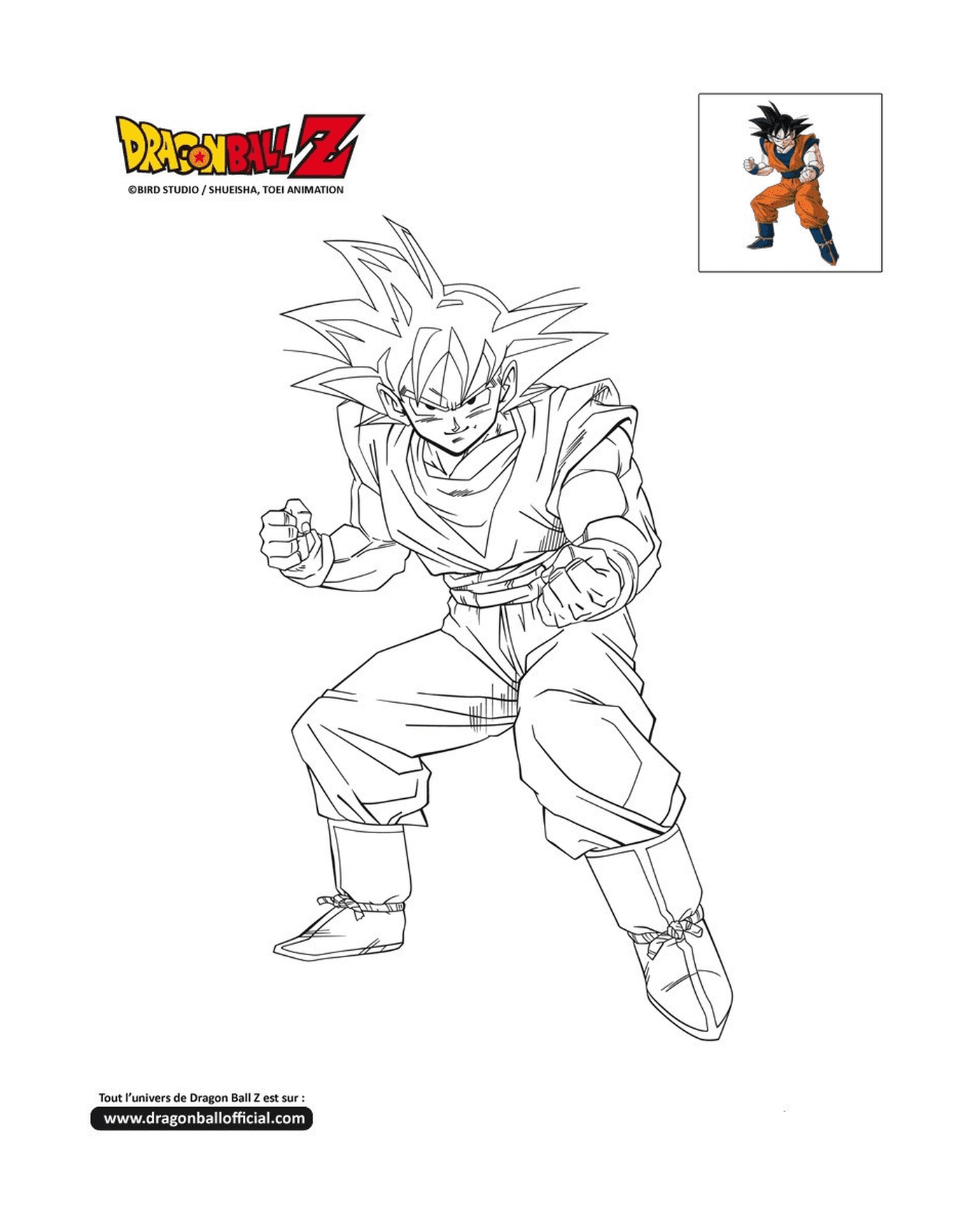   Goku prêt au combat dans Dragon Ball Z 