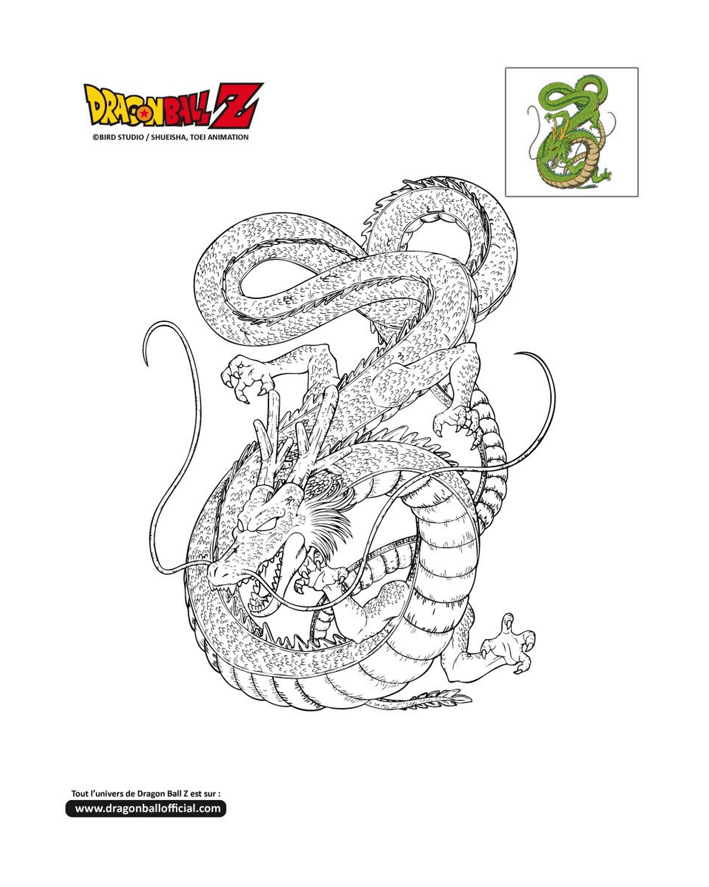   Shenron, un dragon avec un serpent autour du cou dans Dragon Ball Z 