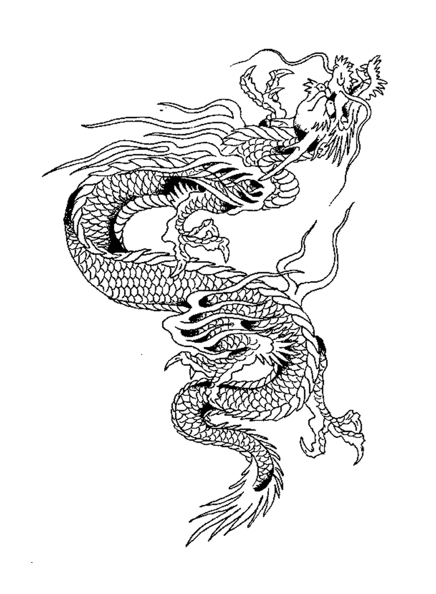  Tatouage de dragon chinois oriental 