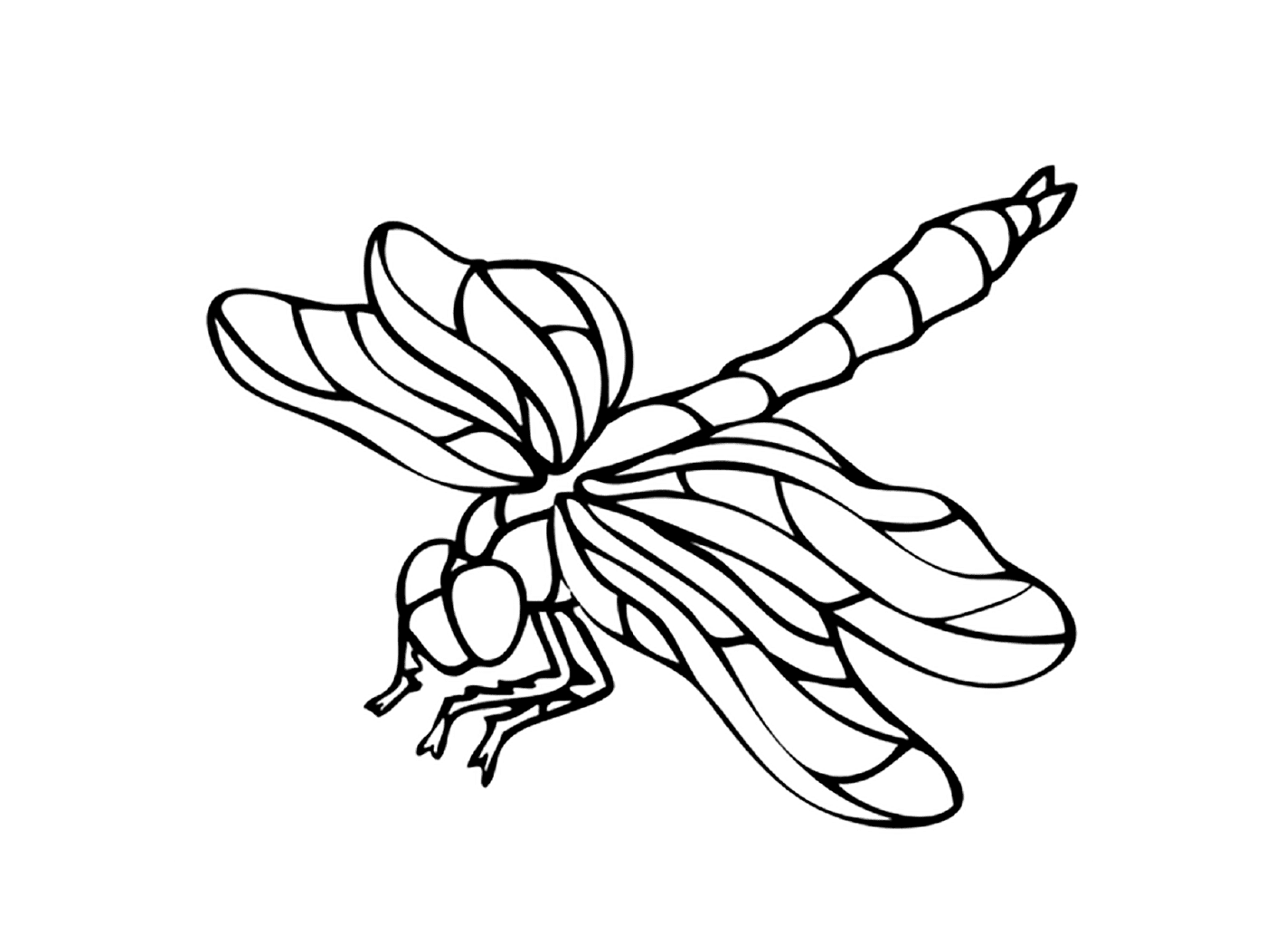   Libellule : Un magnifique insecte 