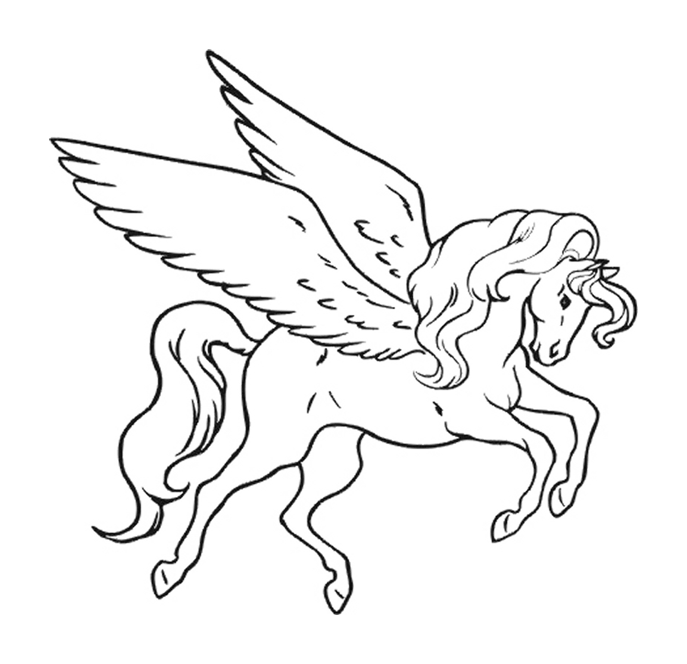   Un cheval avec des ailes 