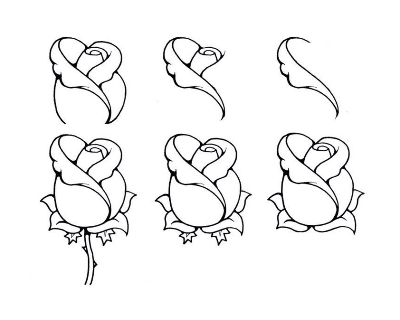  Comment dessiner une rose facilement 