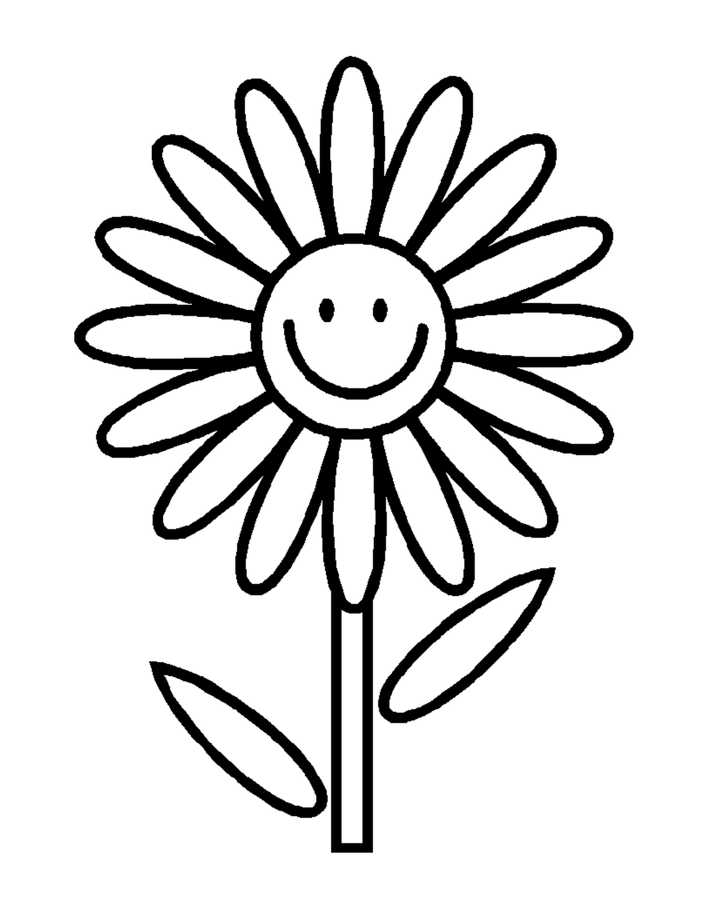   Une fleur souriante 
