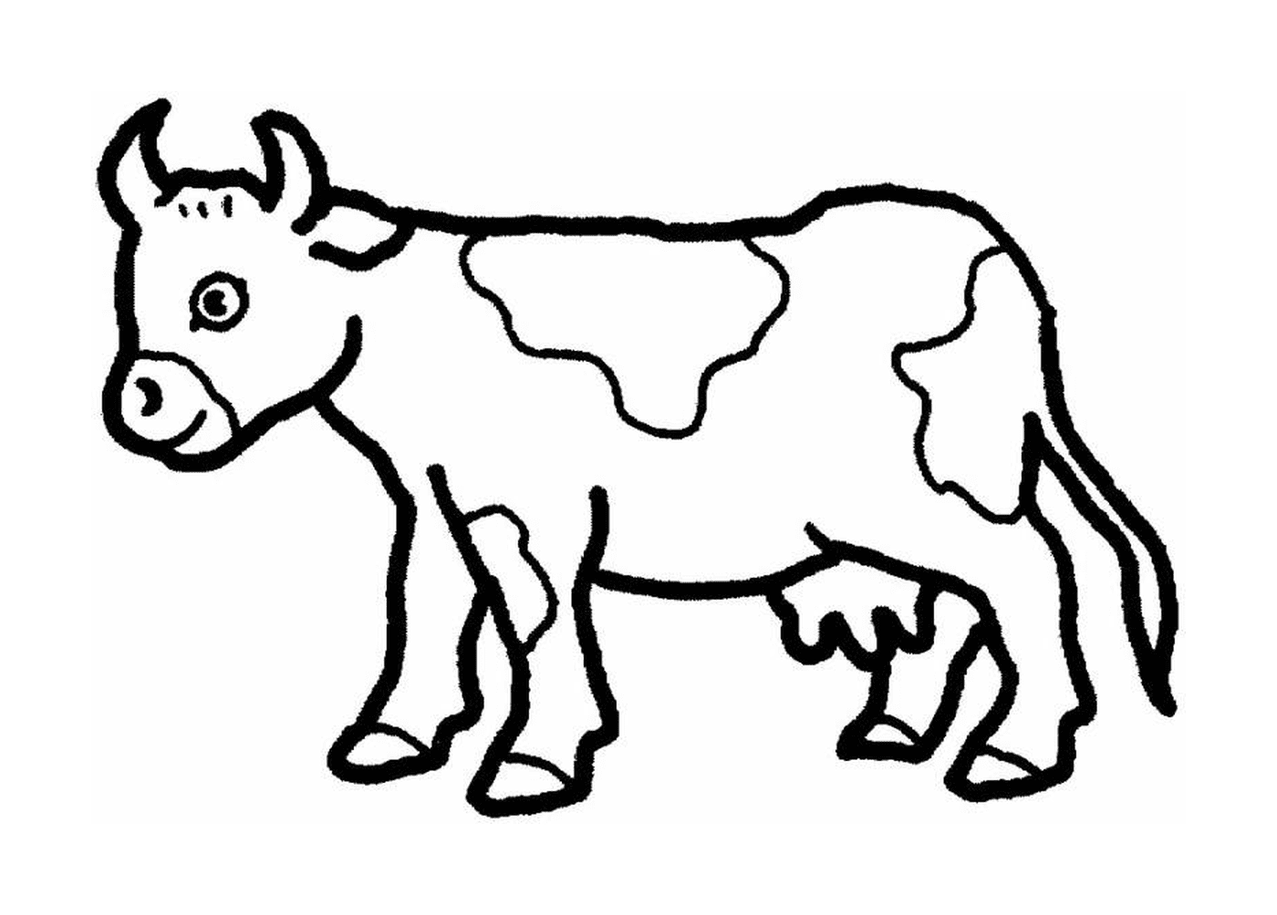   Une vache 