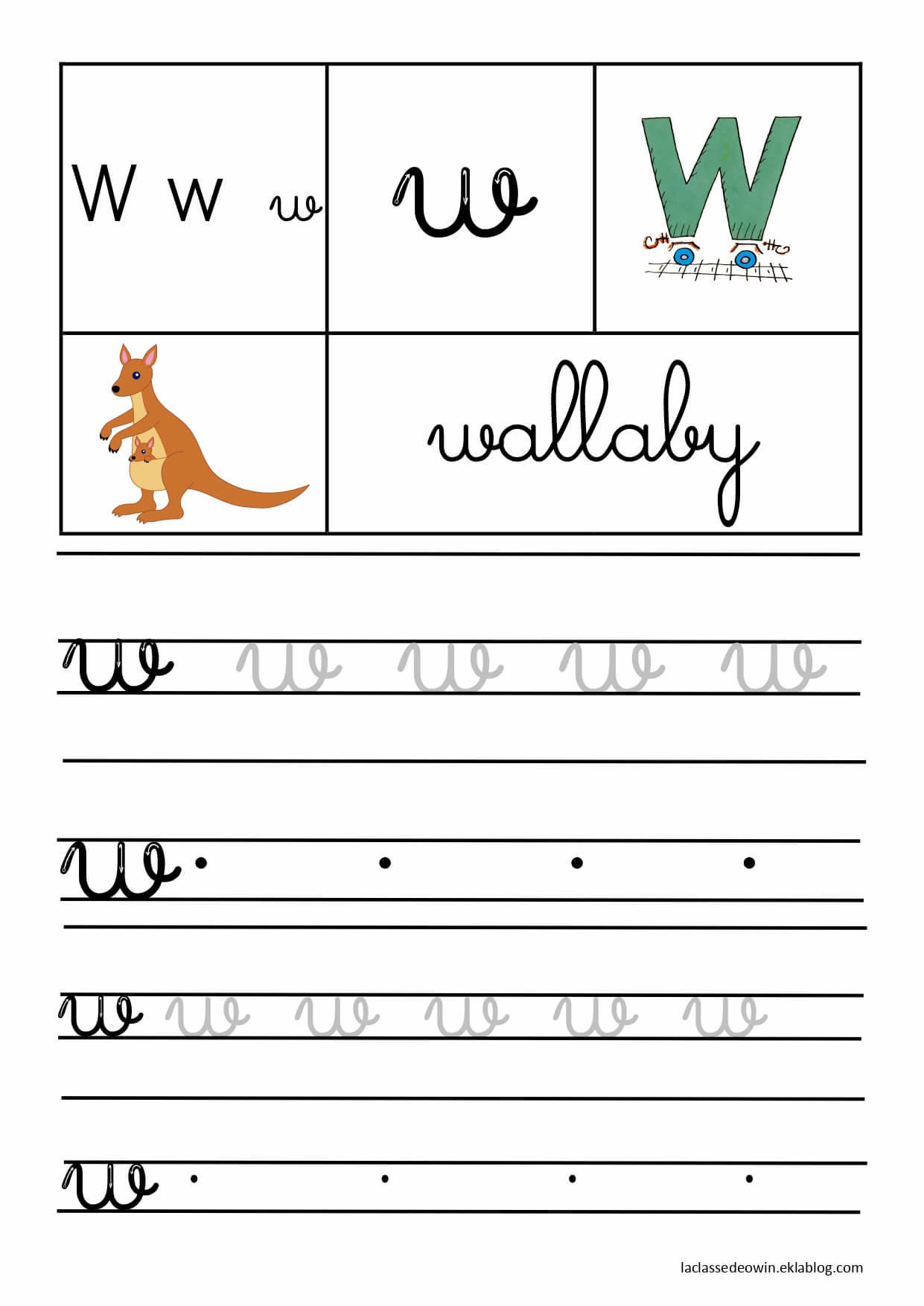   Lettre W pour wallaby, écriture cursive GS 