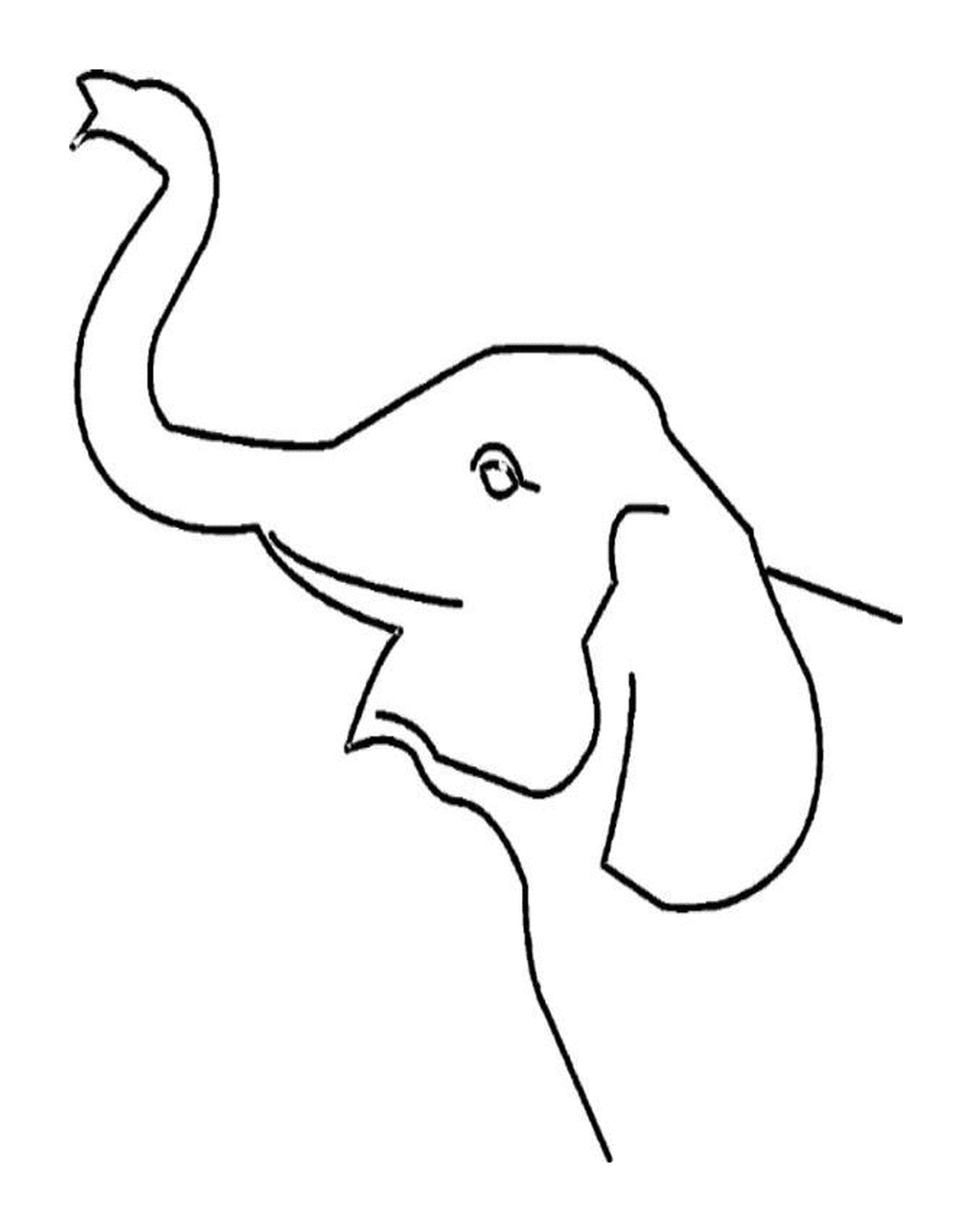   Une trompe d'éléphant se profile 