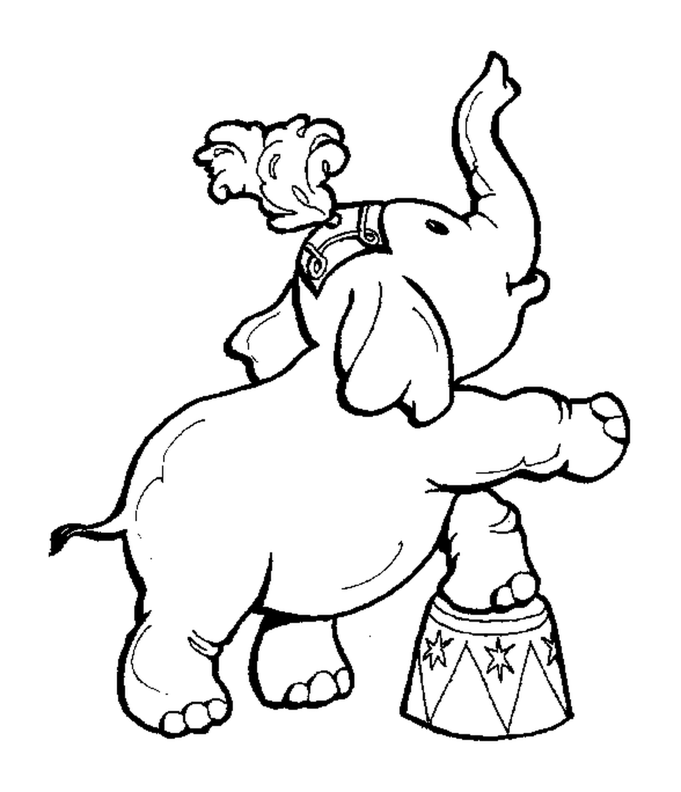   Un éléphant debout sur un tambour 