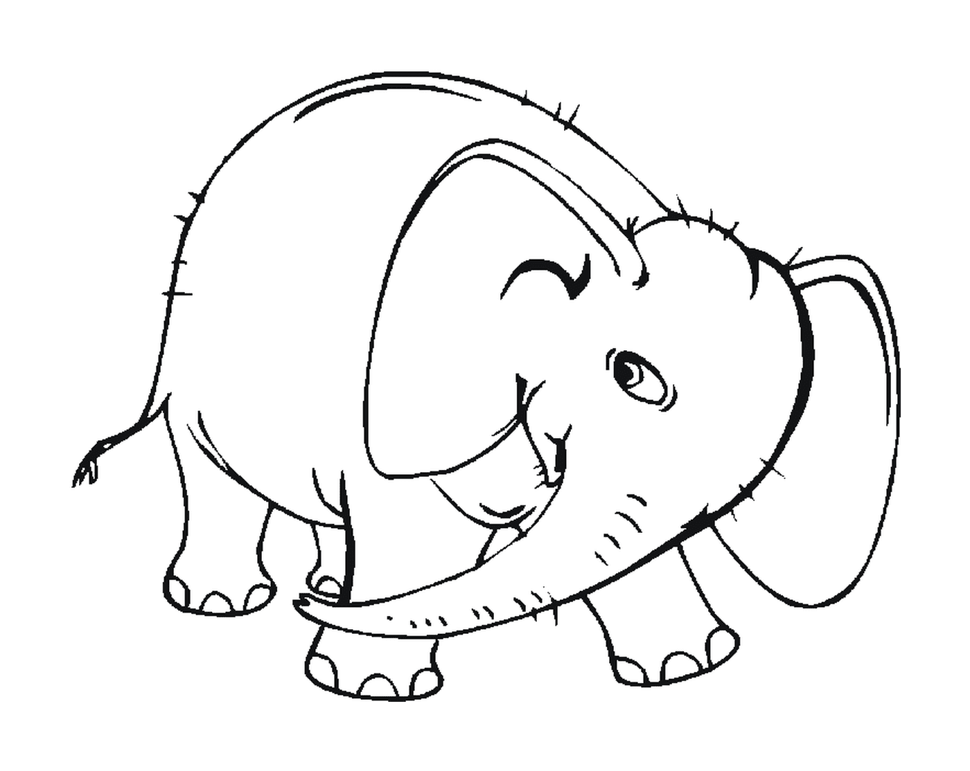   Un éléphant avec des défenses 