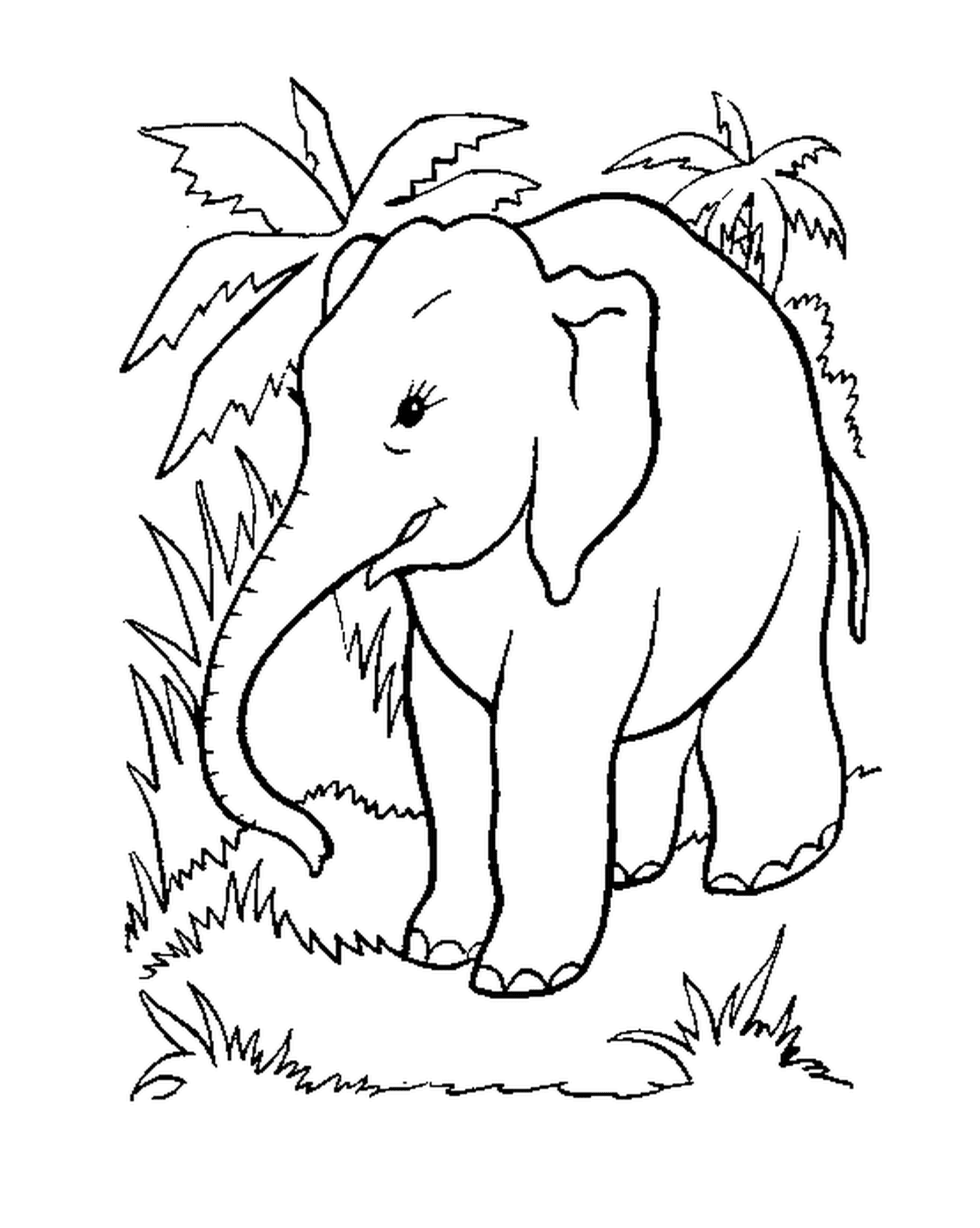   Un éléphant debout dans l'herbe près d'un arbre 