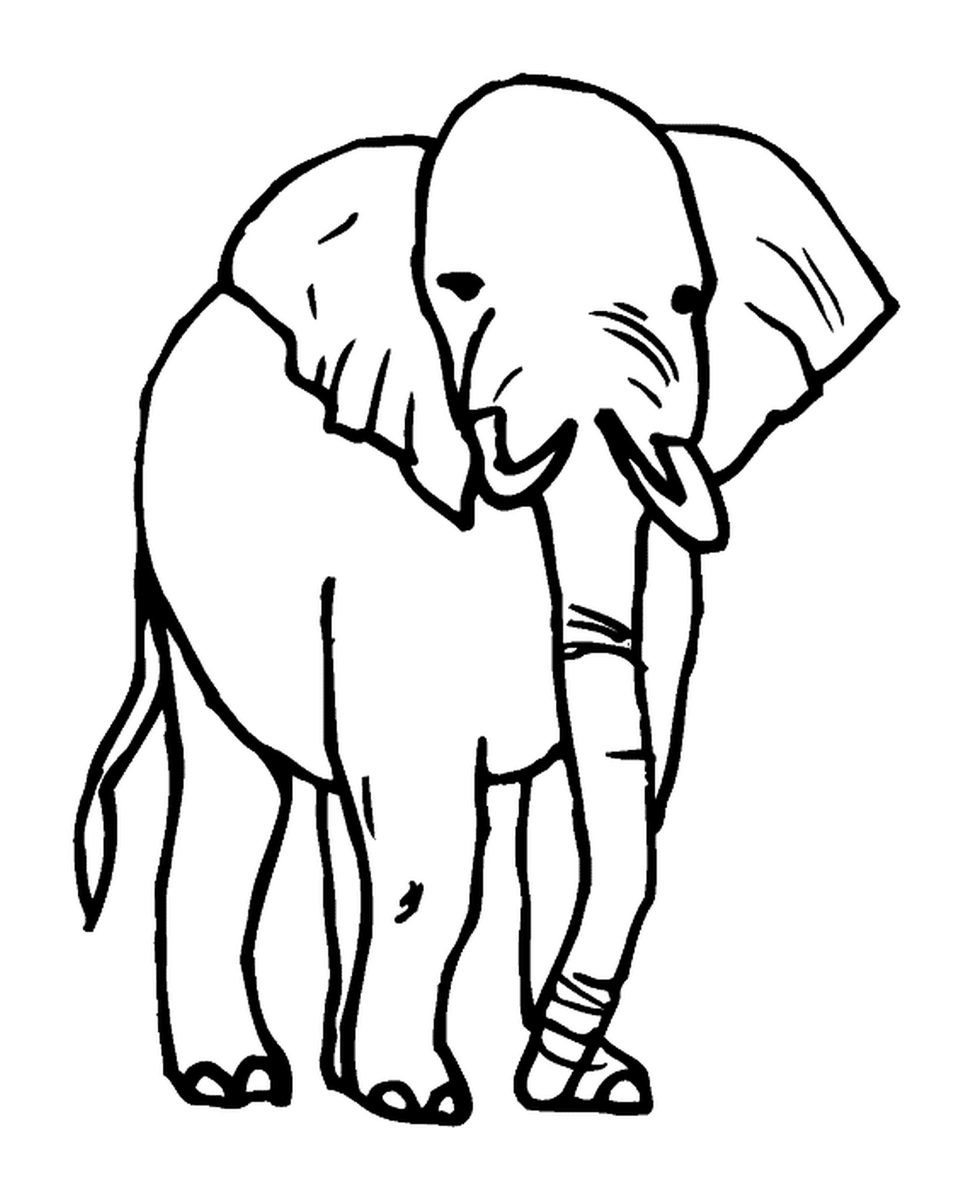   Dessin d'éléphant 