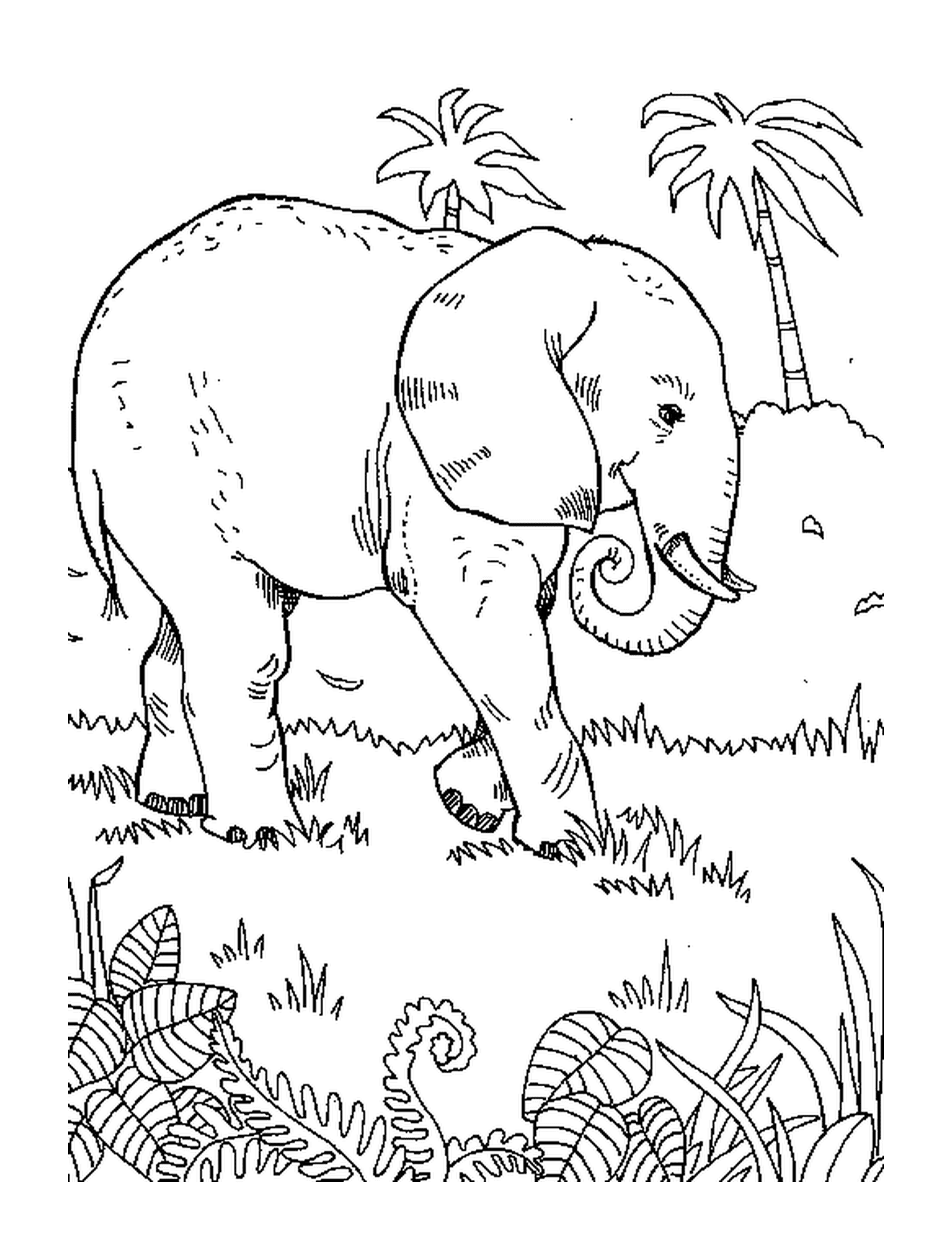   Un éléphant marchant dans l'herbe près d'un palmier 