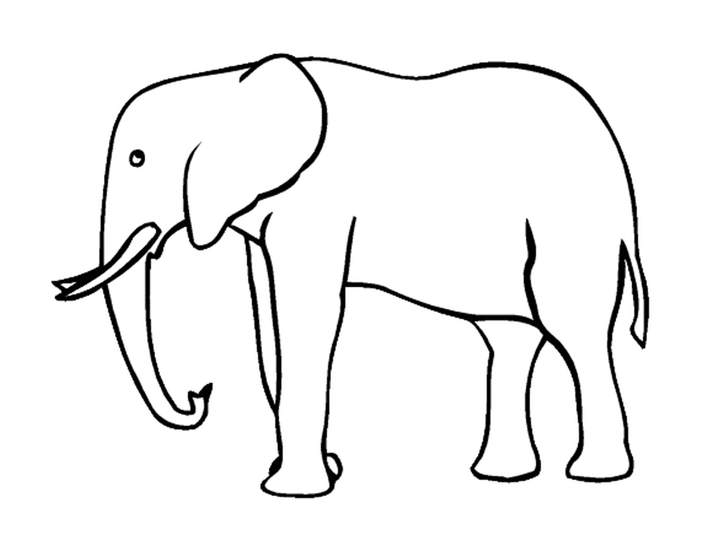   Une silhouette d'éléphant avec des défenses 