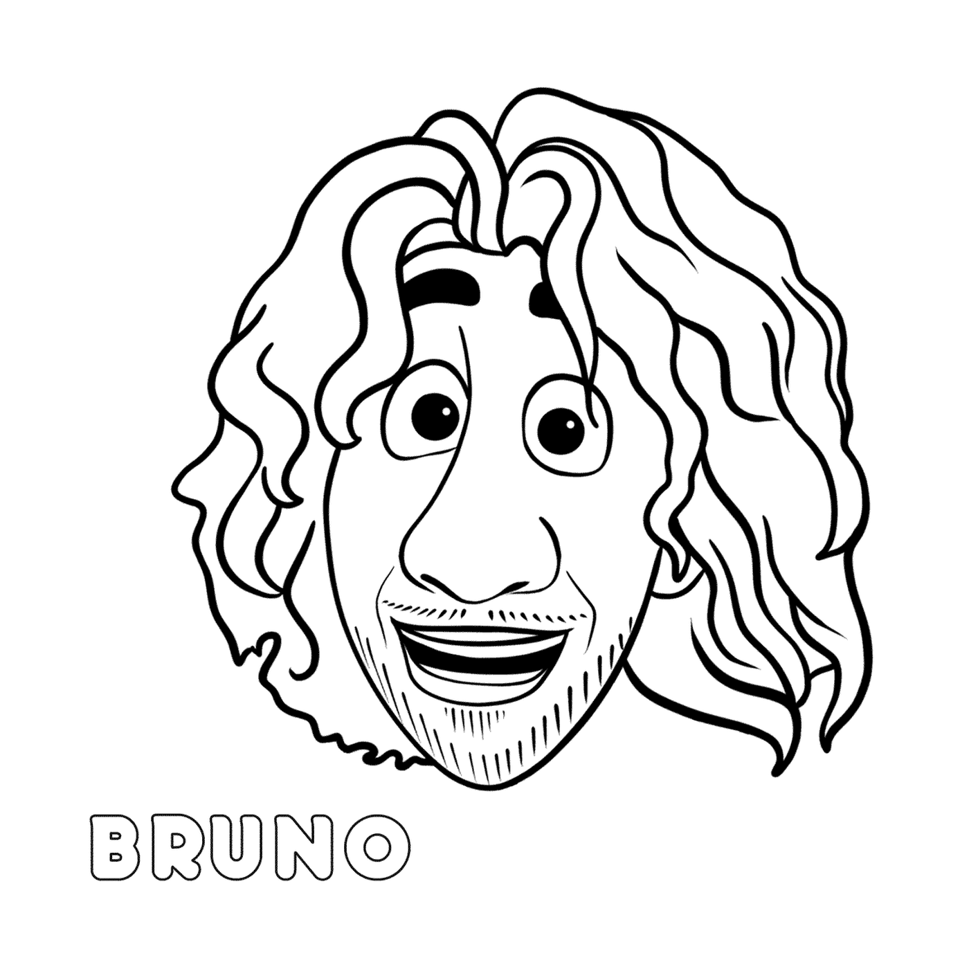   Visage de Bruno avec des cheveux longs 
