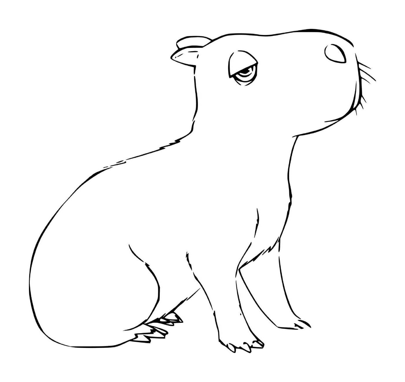   Une capybara d'Encanto 