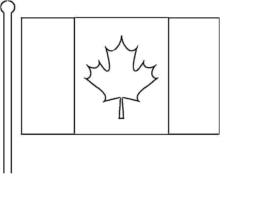   Une feuille d'érable sur un drapeau canadien 