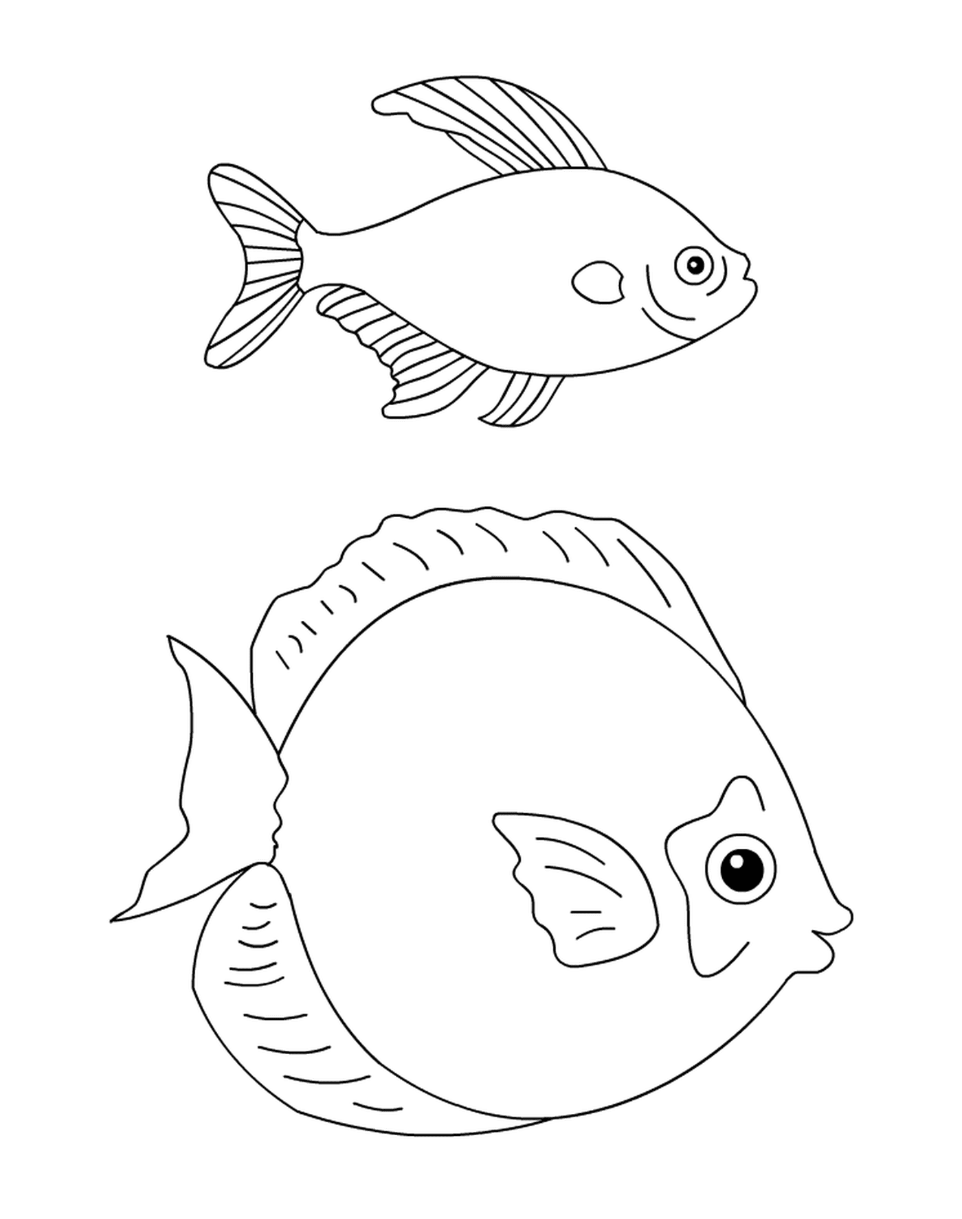   Un poisson et un animal dessinés ensemble 