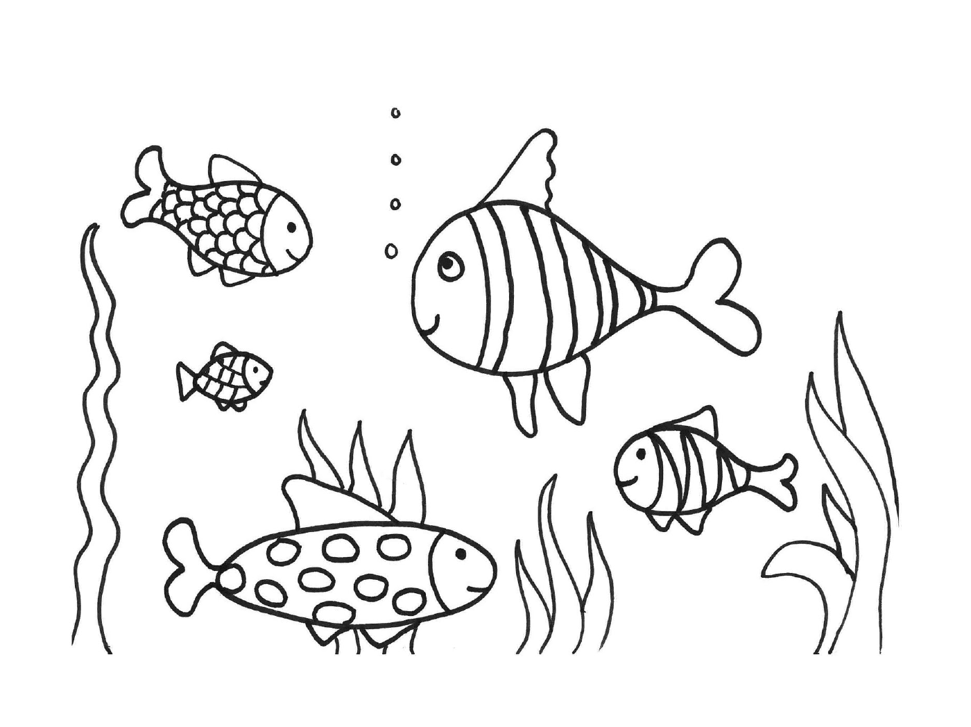   Beaucoup de poissons dans l'eau 