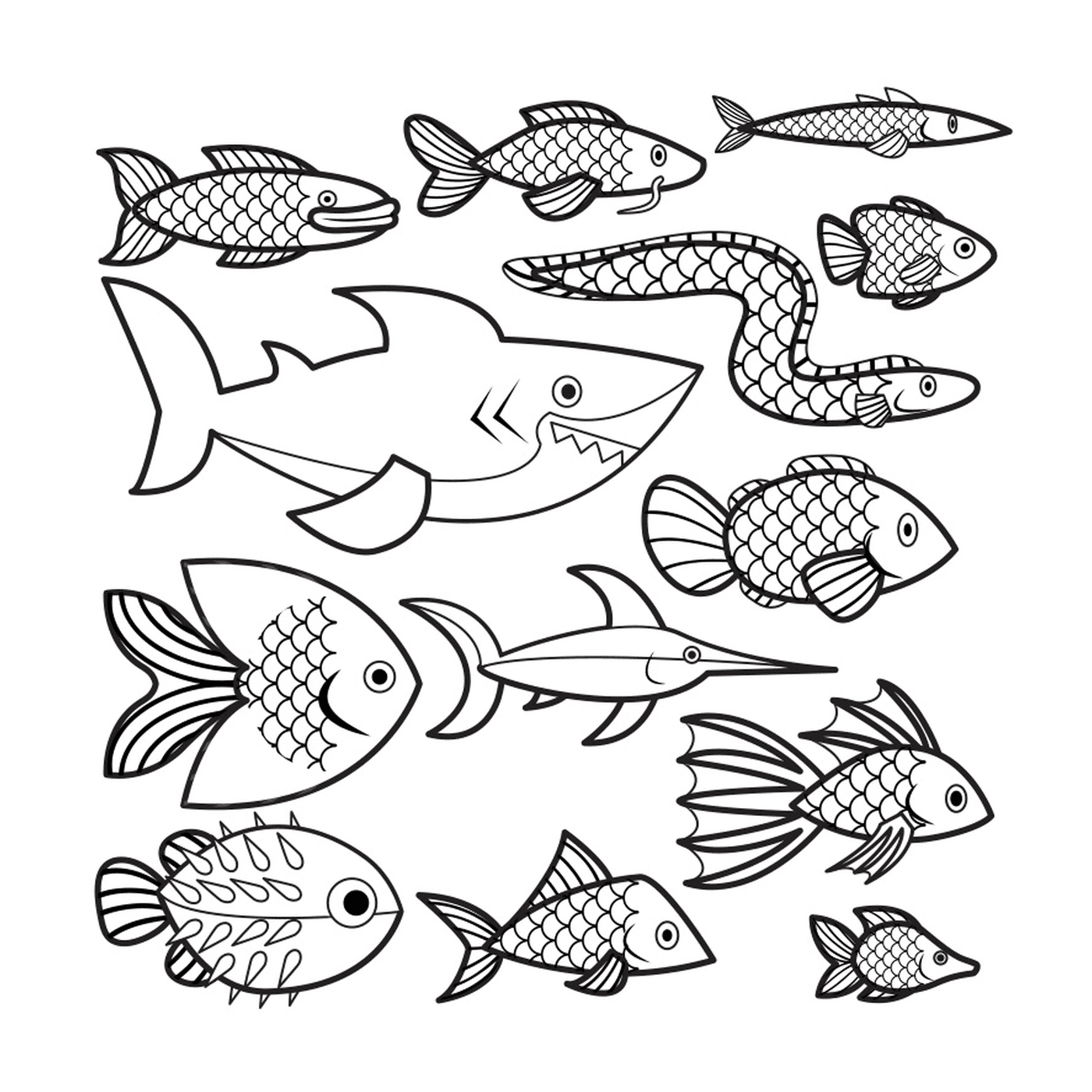   Nombreux poissons à colorier 