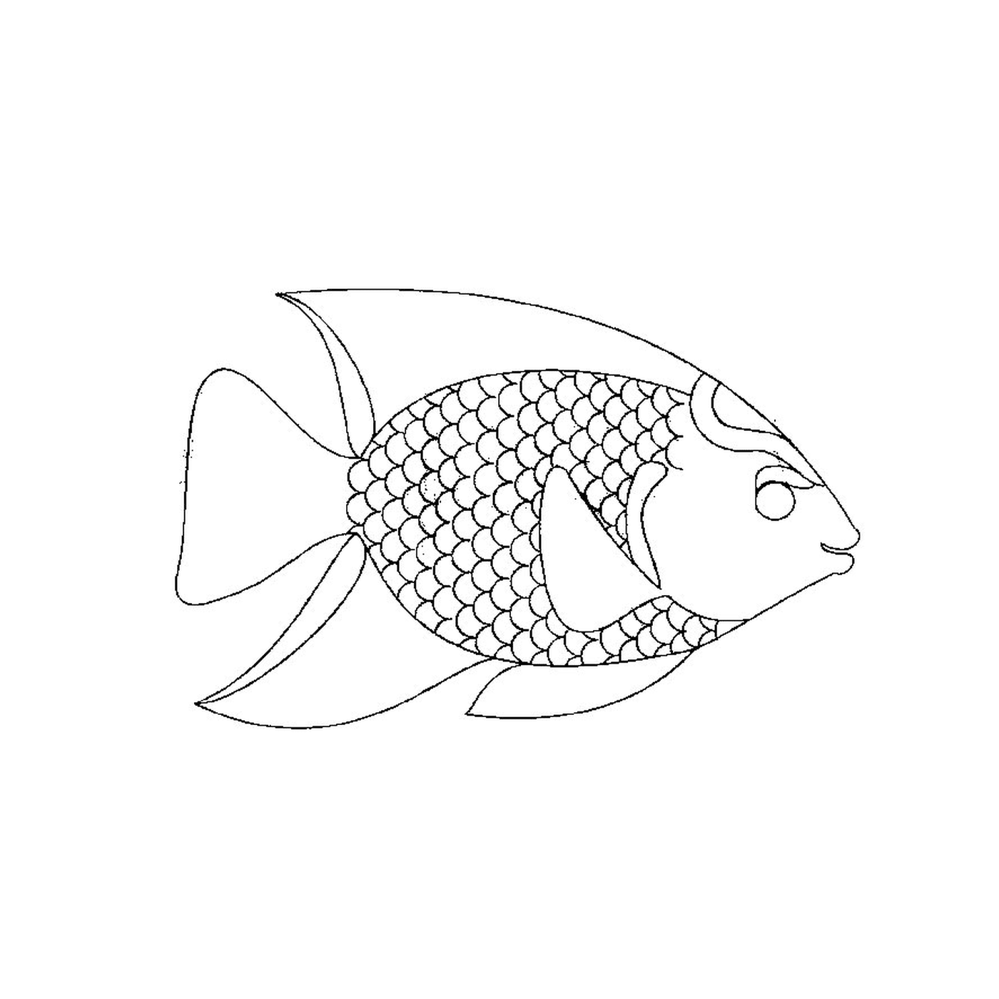   Présence d'un poisson aux couleurs vives 