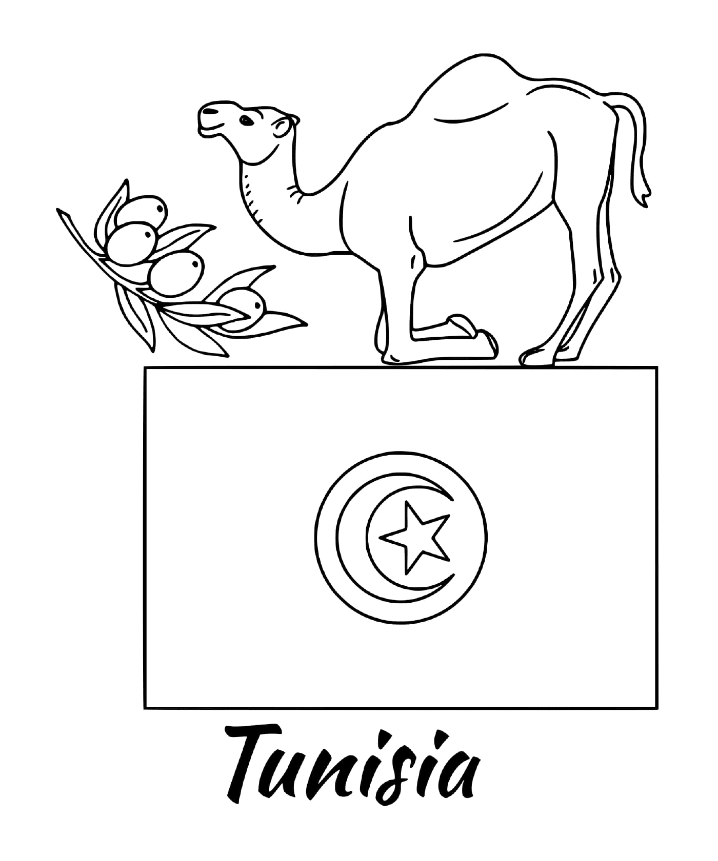   Drapeau de la Tunisie avec un chameau 