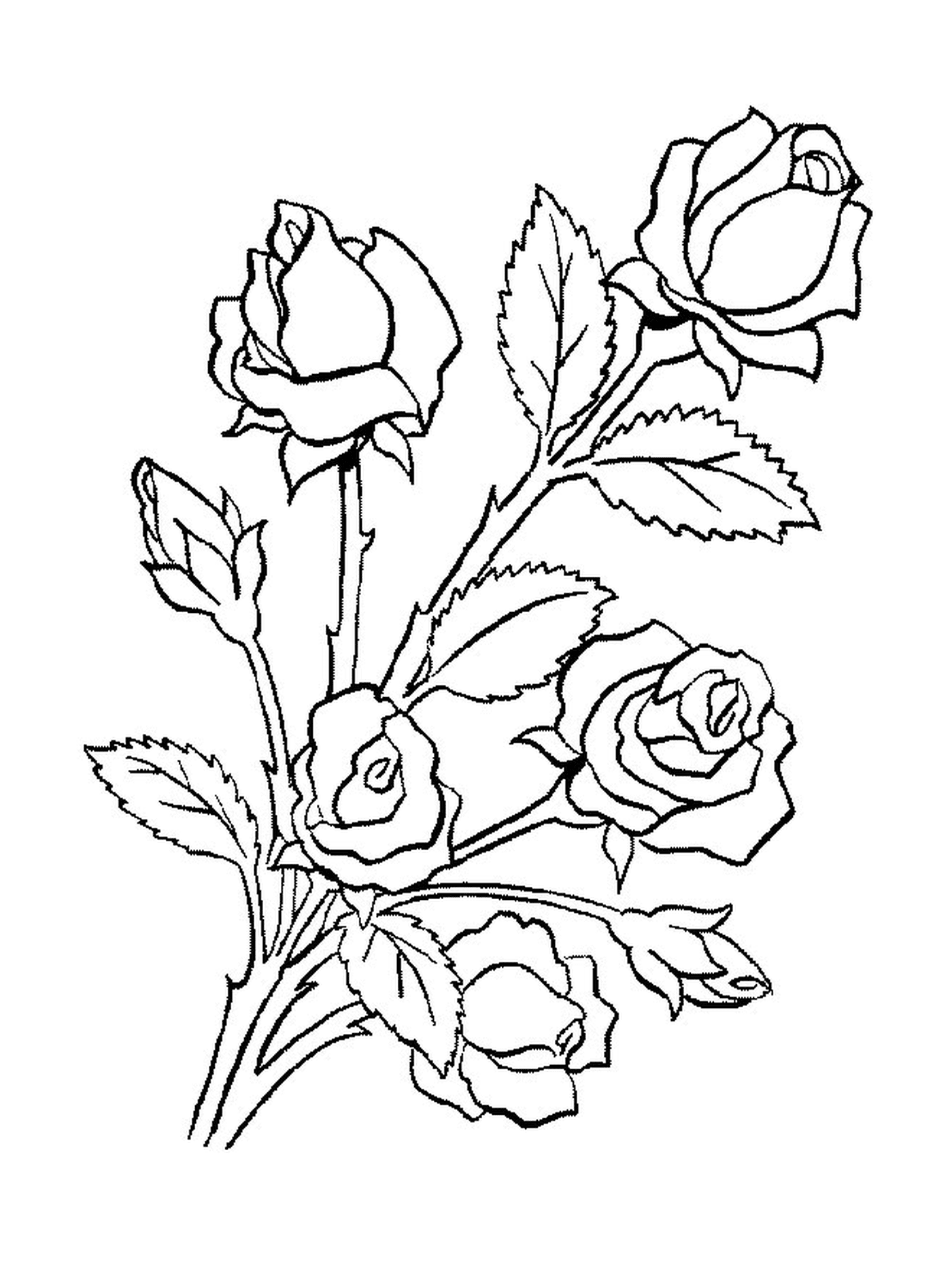   Un bouquet de roses posé au sol 