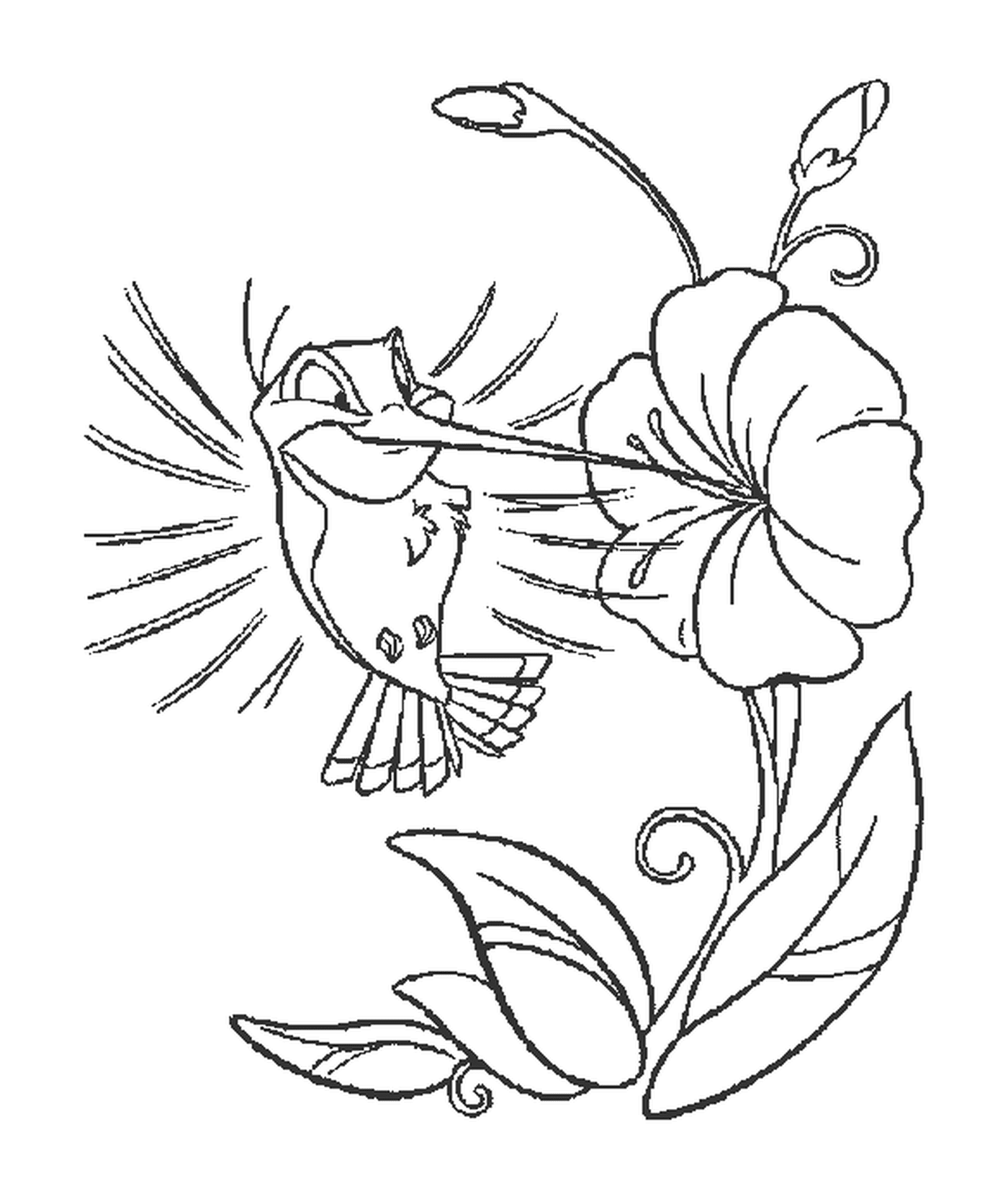   Un colibri près d'une fleur 