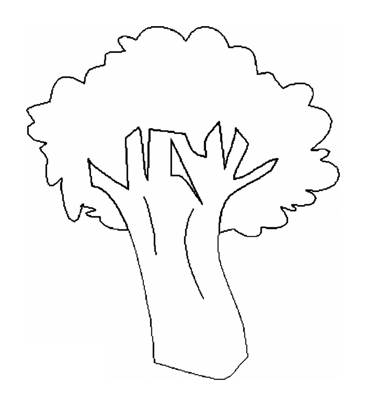   arbre 