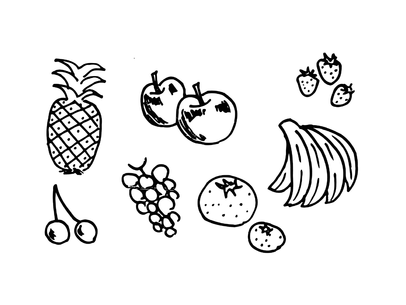   Assortiment de fruits variés 