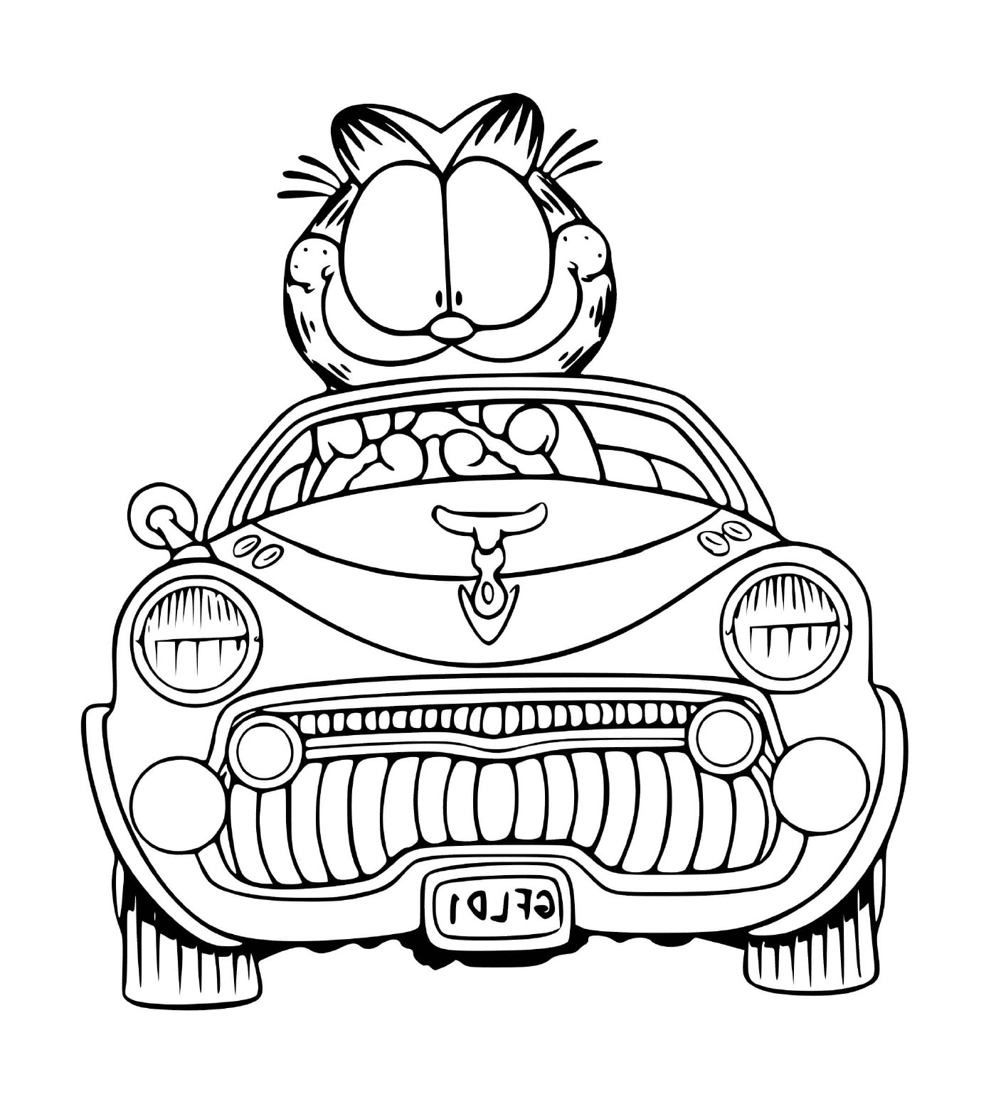   Garfield profite d'une voiture de luxe 