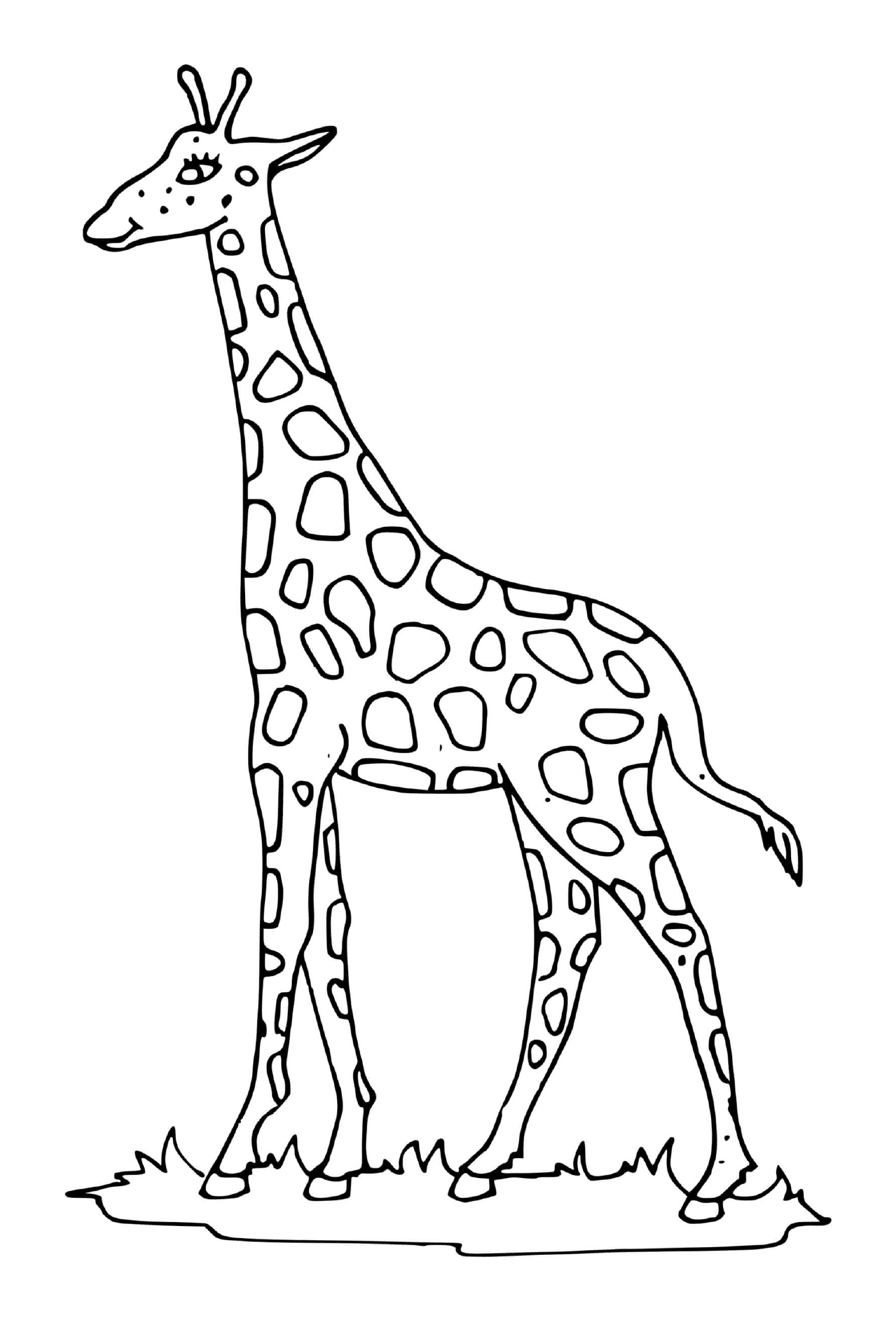   Girafe avec un long cou 