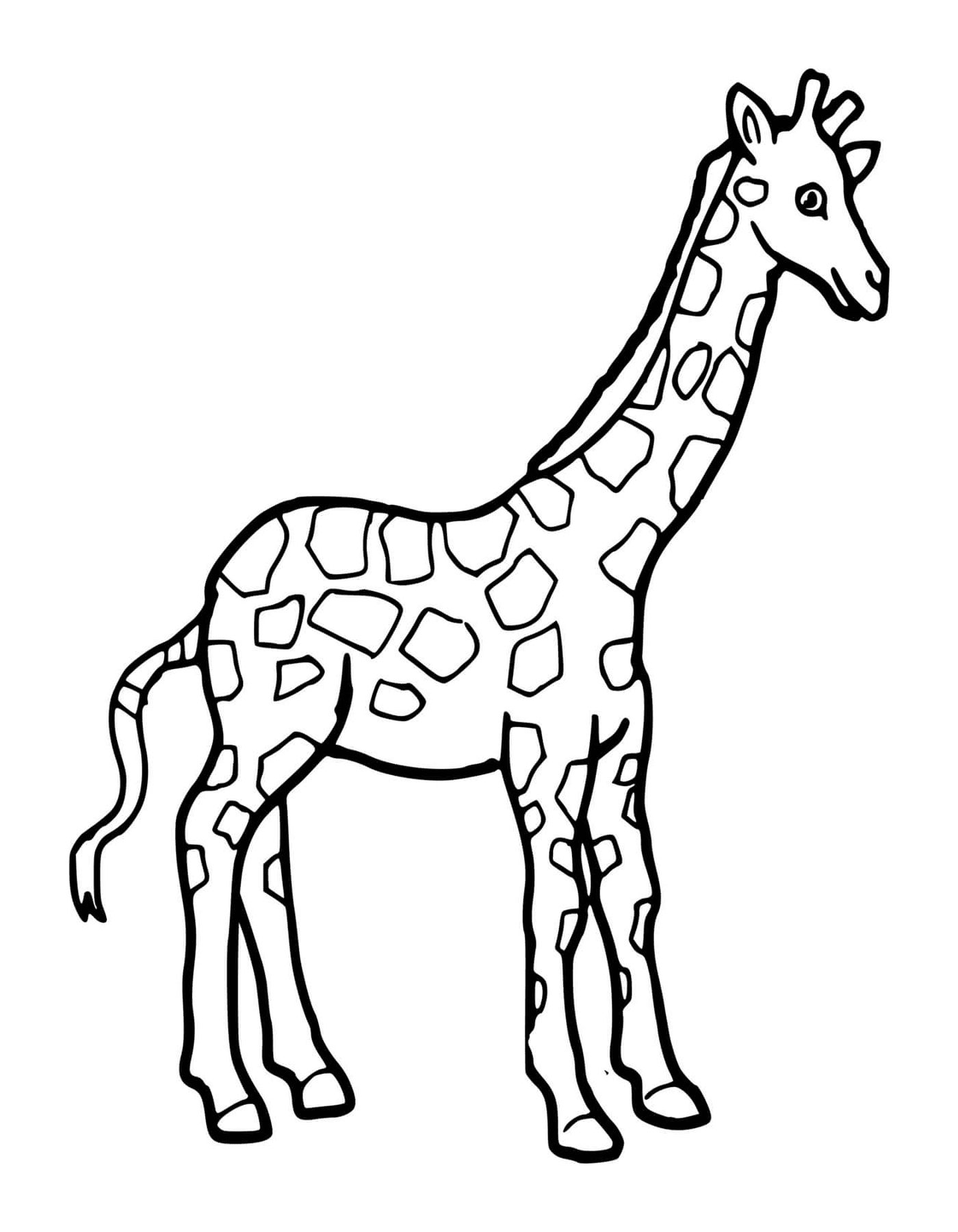   Une girafe à colorier 