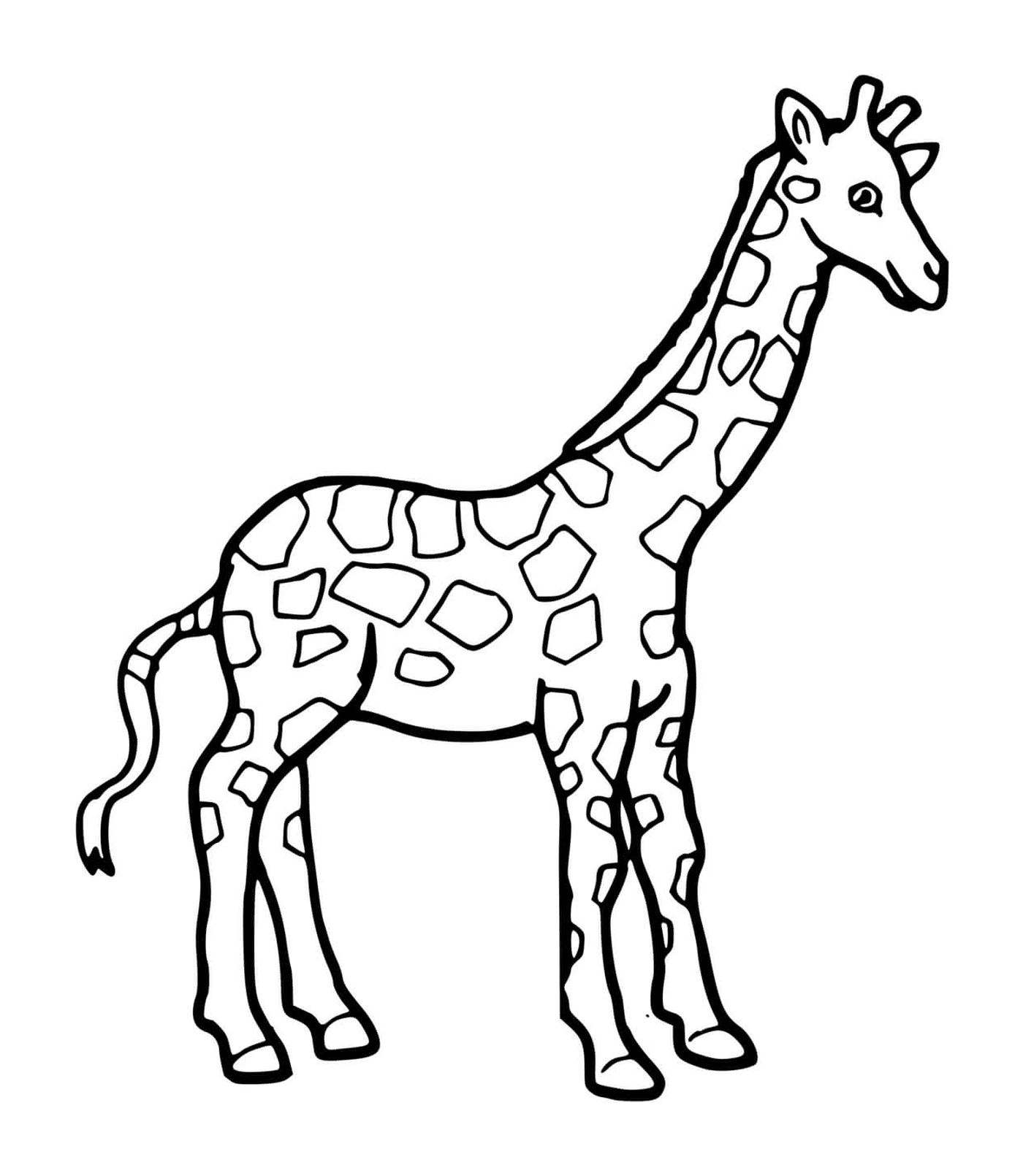   Dessin d'une girafe à colorier 
