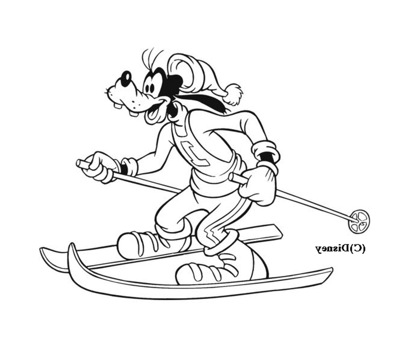  Dingo fait du ski sur une pente enneigée 
