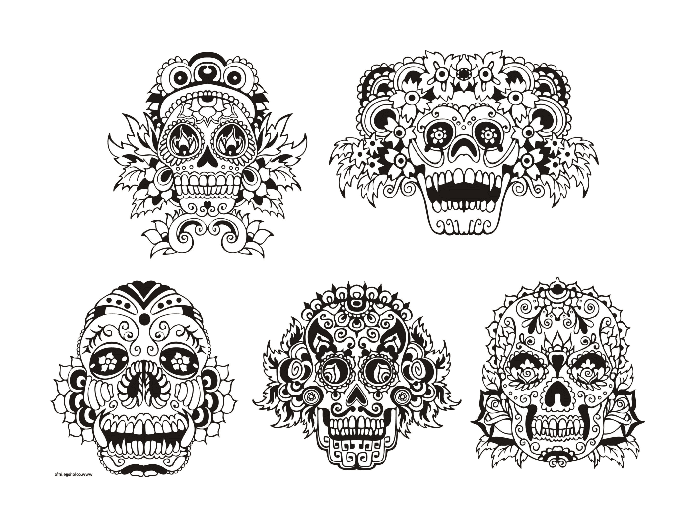   ensemble de six dessins de crânes en noir et blanc 