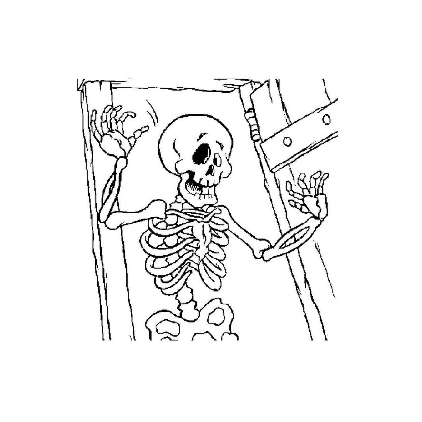   Squelette dans une pièce sombre 