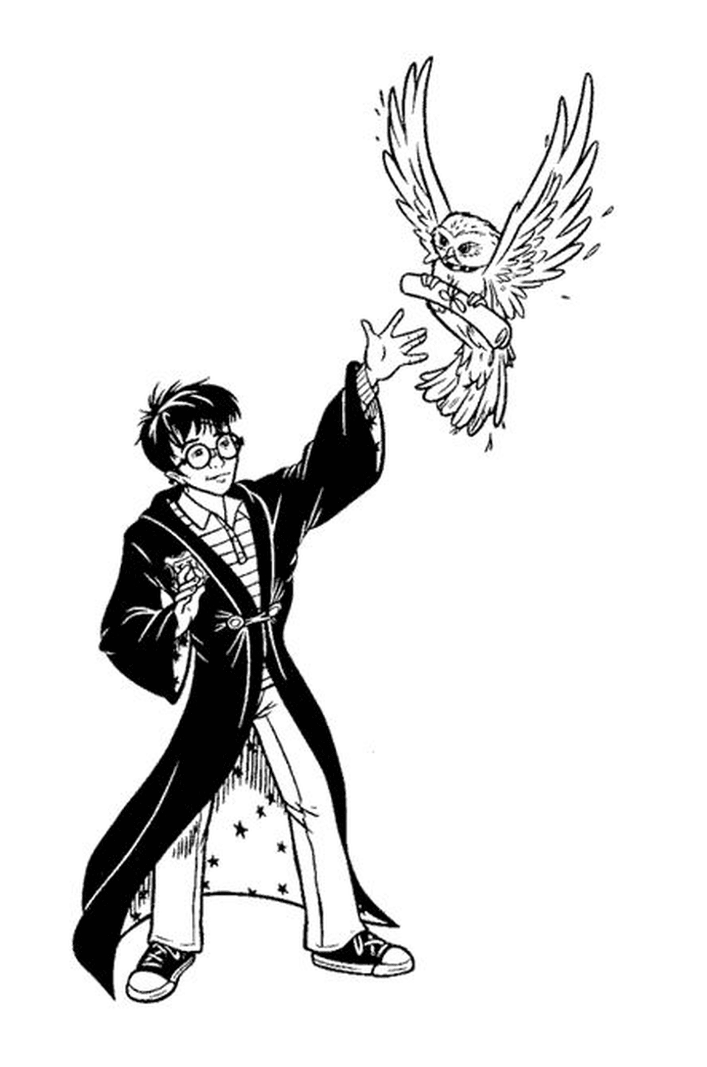   Harry Potter avec Hedwige 