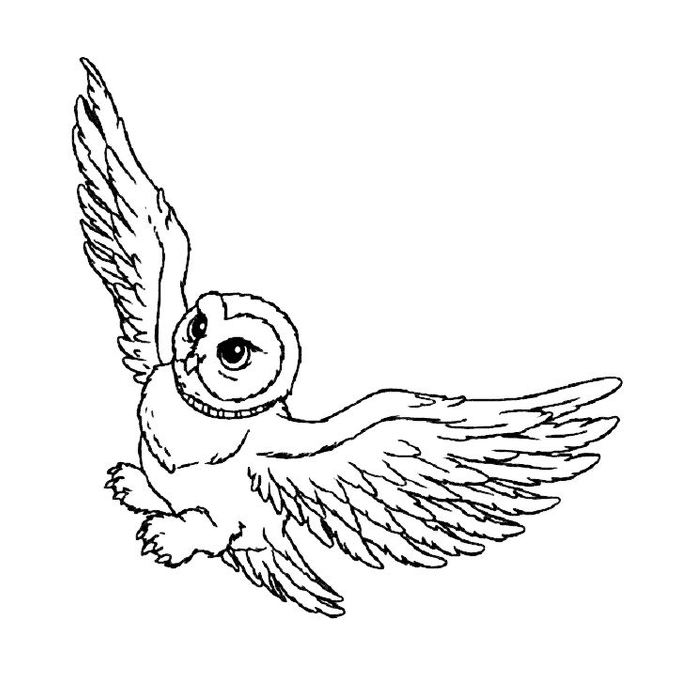   Hedwige vole dans le ciel 