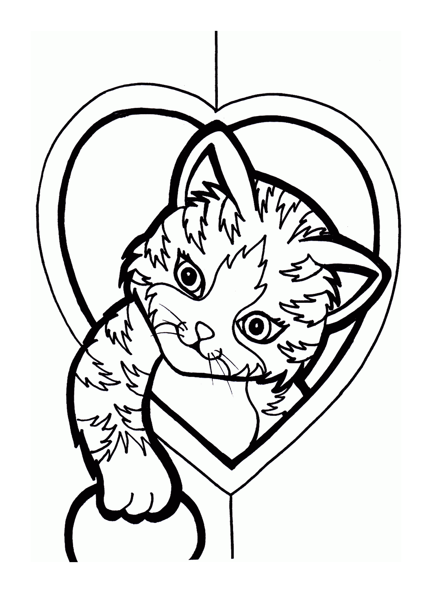   Un chat dans un cœur 