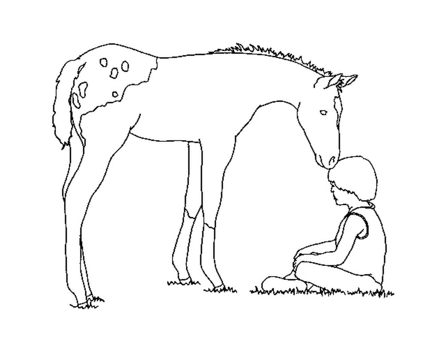   Élégant cheval tacheté avec son petit poulain 