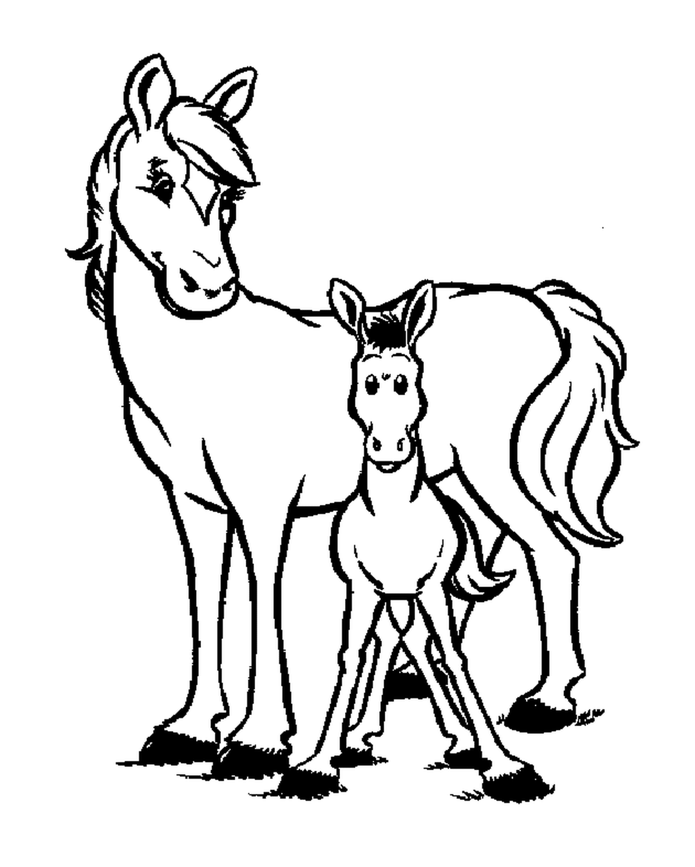   Duo de chevaux : un adulte et un poulain 