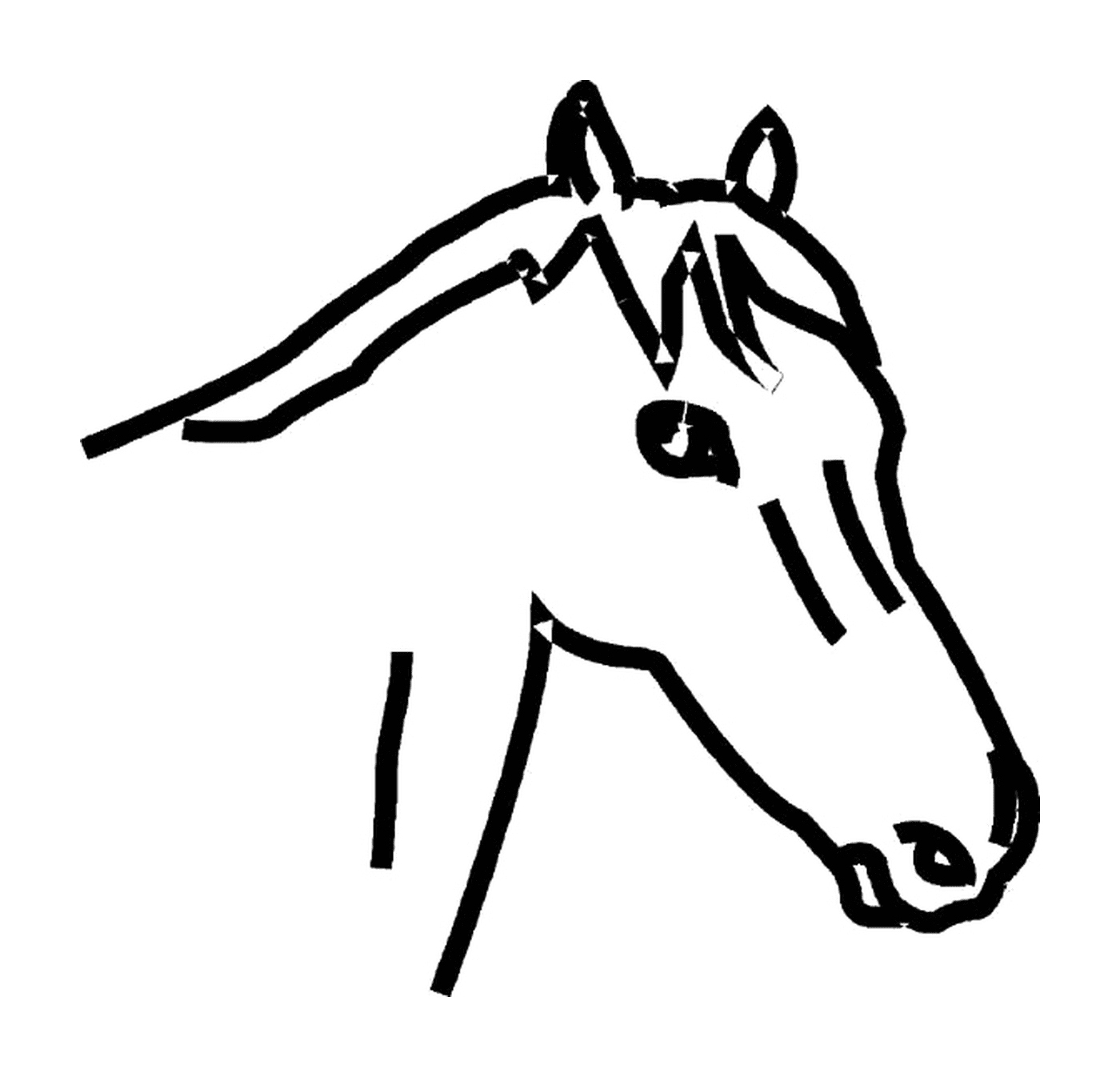   La tête imposante d'un cheval 