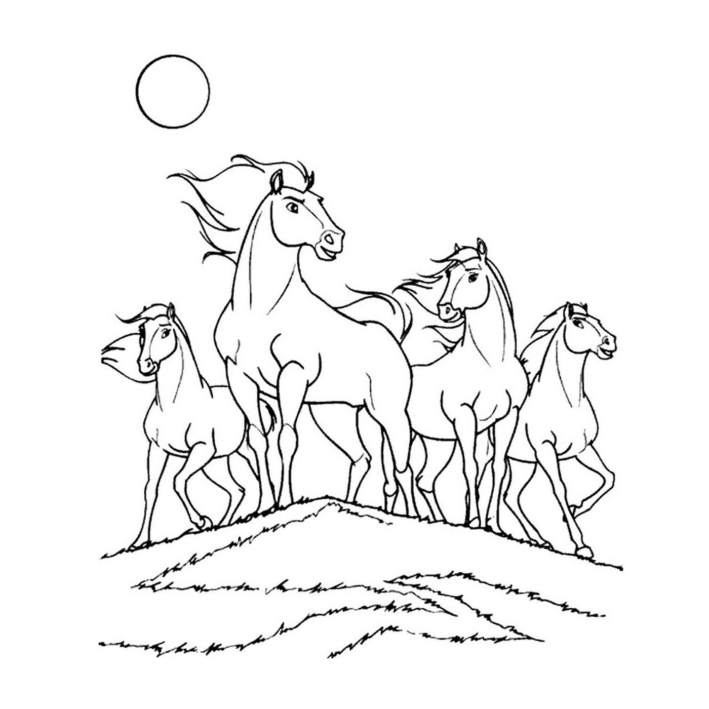   Groupe de chevaux se tenant sur une colline herbeuse 